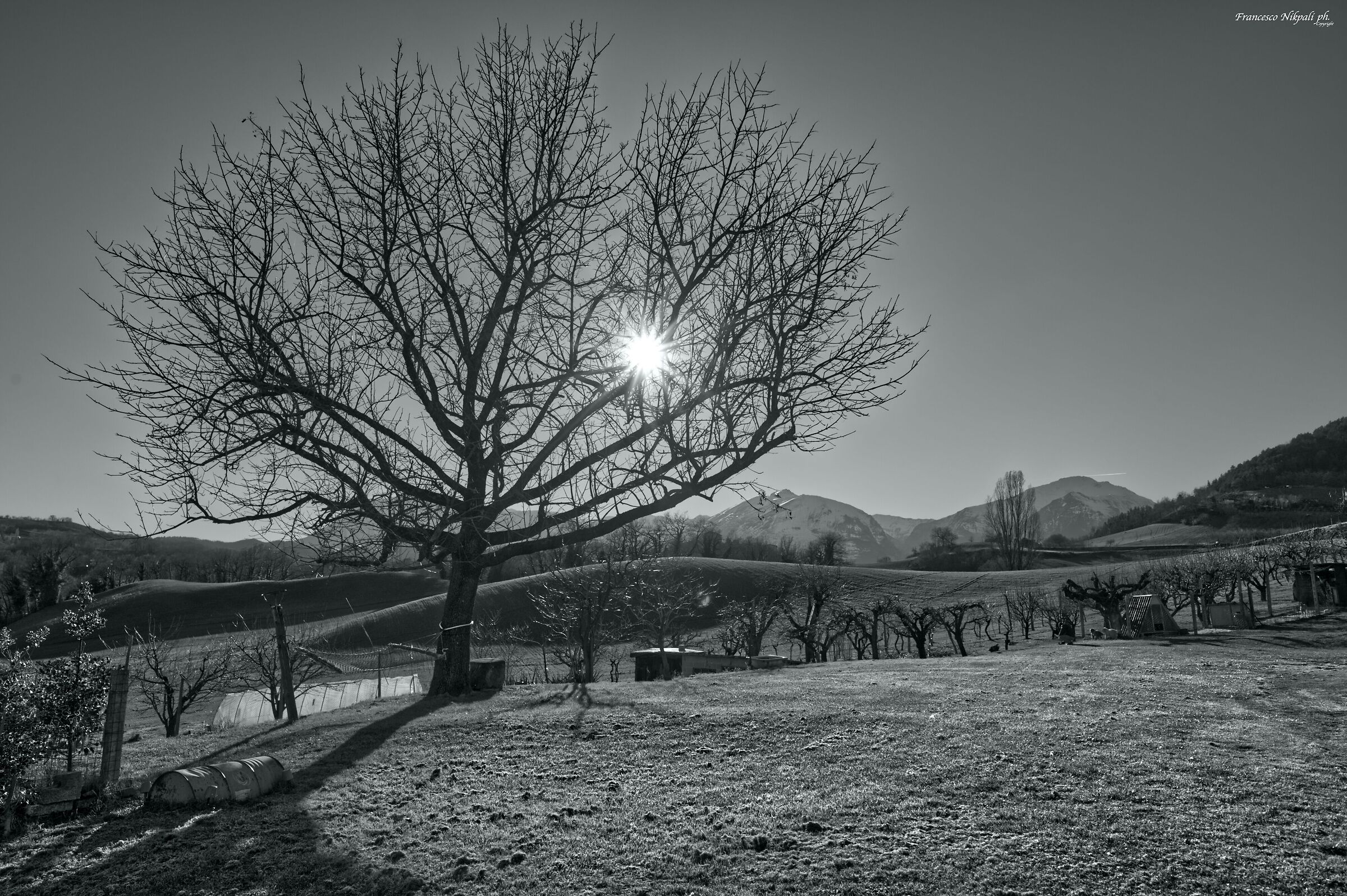 La campagna di Comunanza