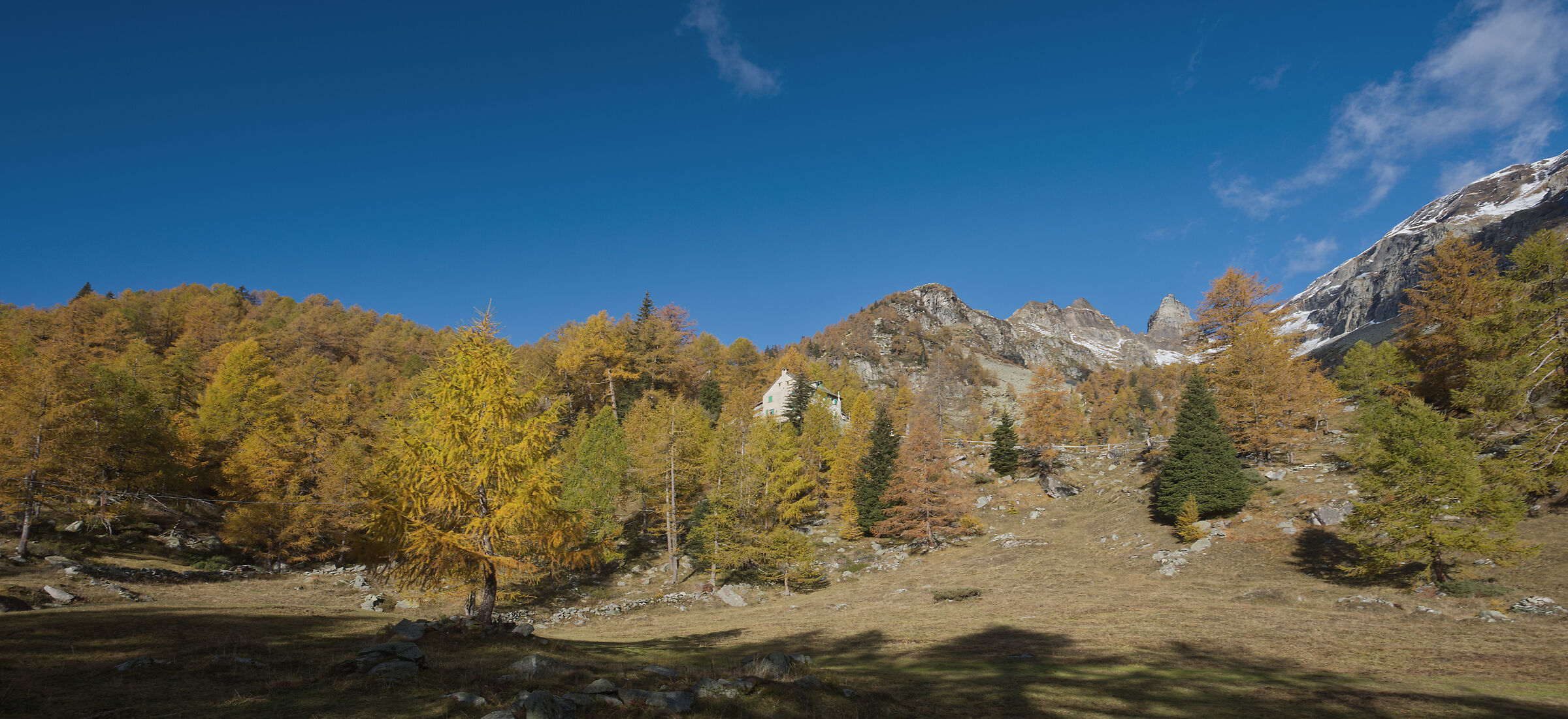 autunno 2020 Valdivedro