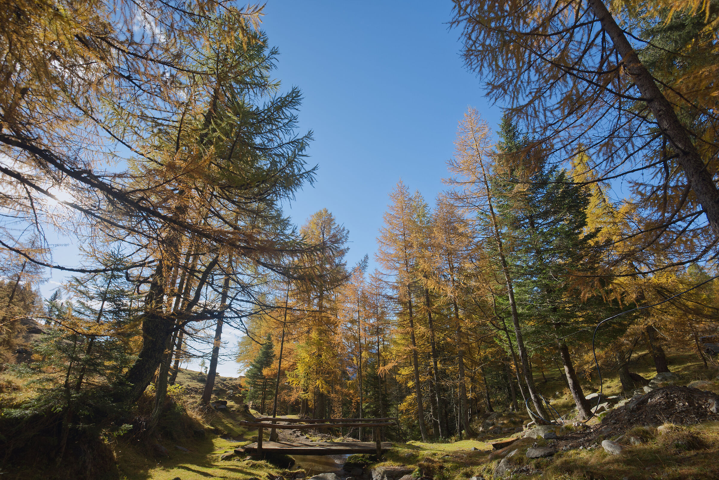 autunno 2020 Valdivedro