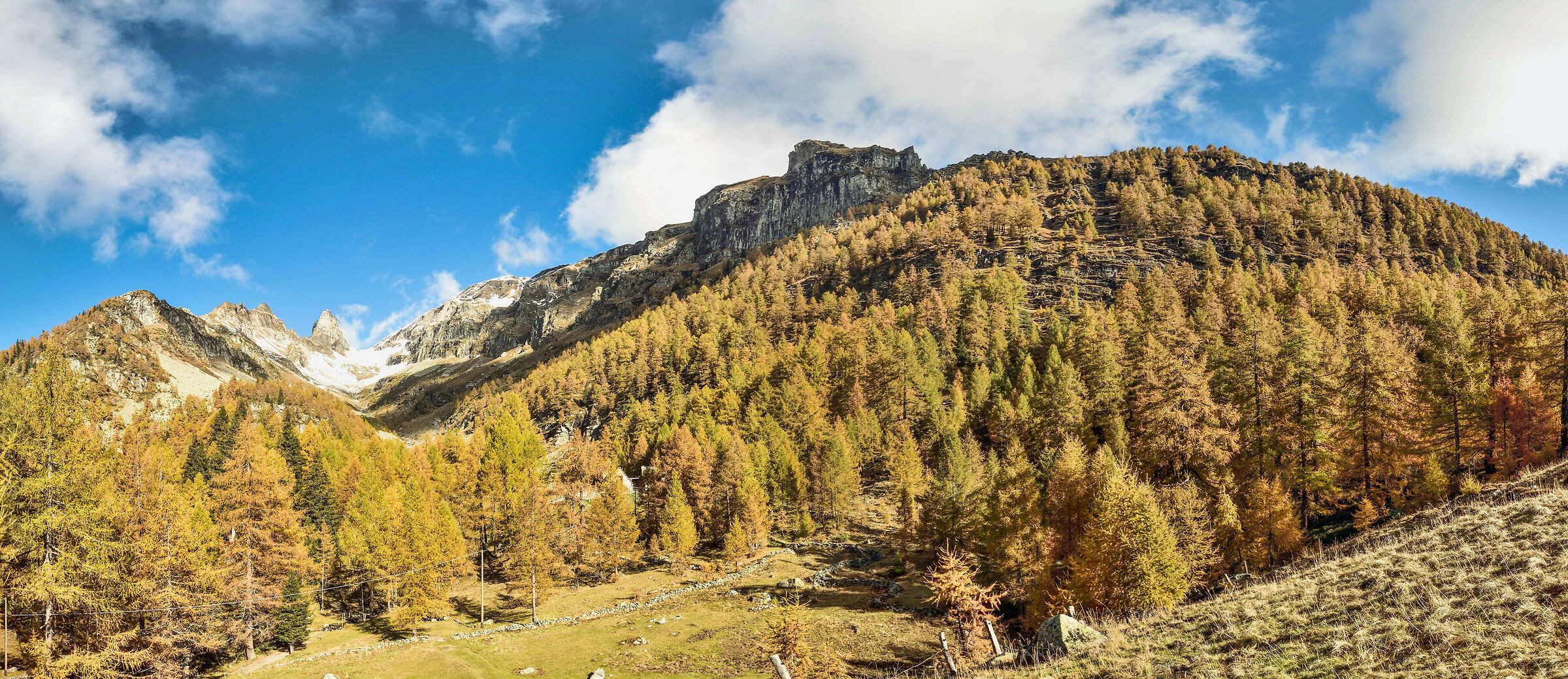 autunno 2020 Valdivedro