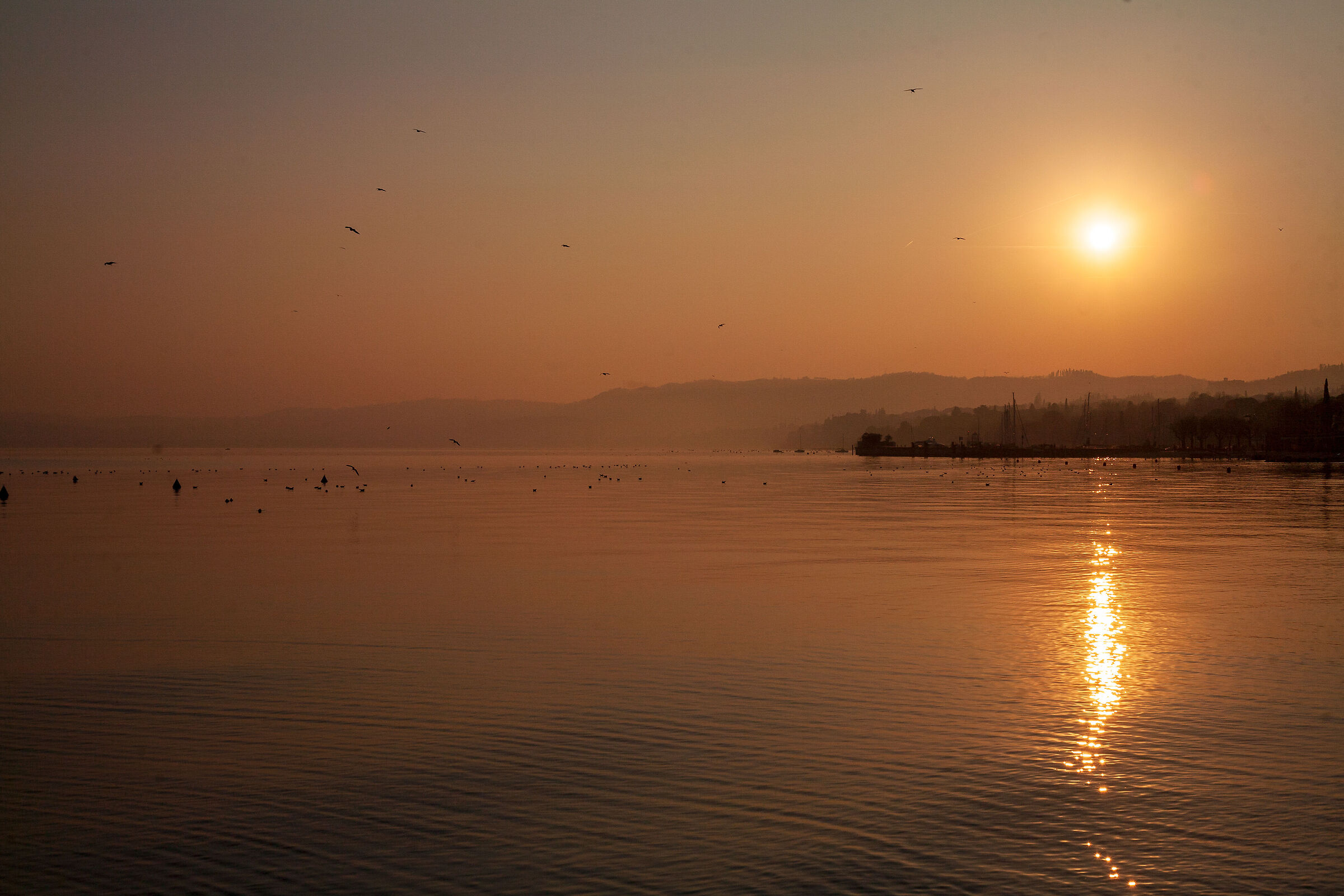 Put a Sunday in January at the lake...