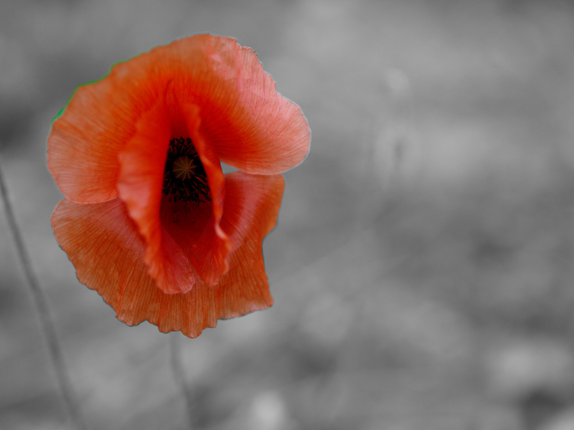 tutto il resto scompare