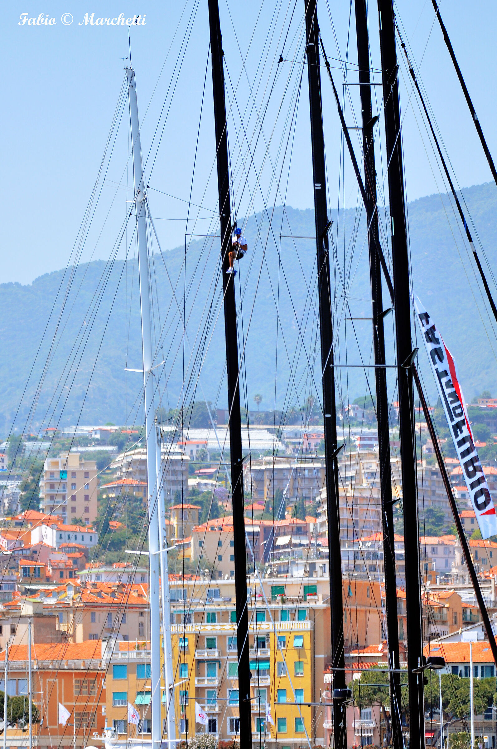 ..non sui soliti alberi