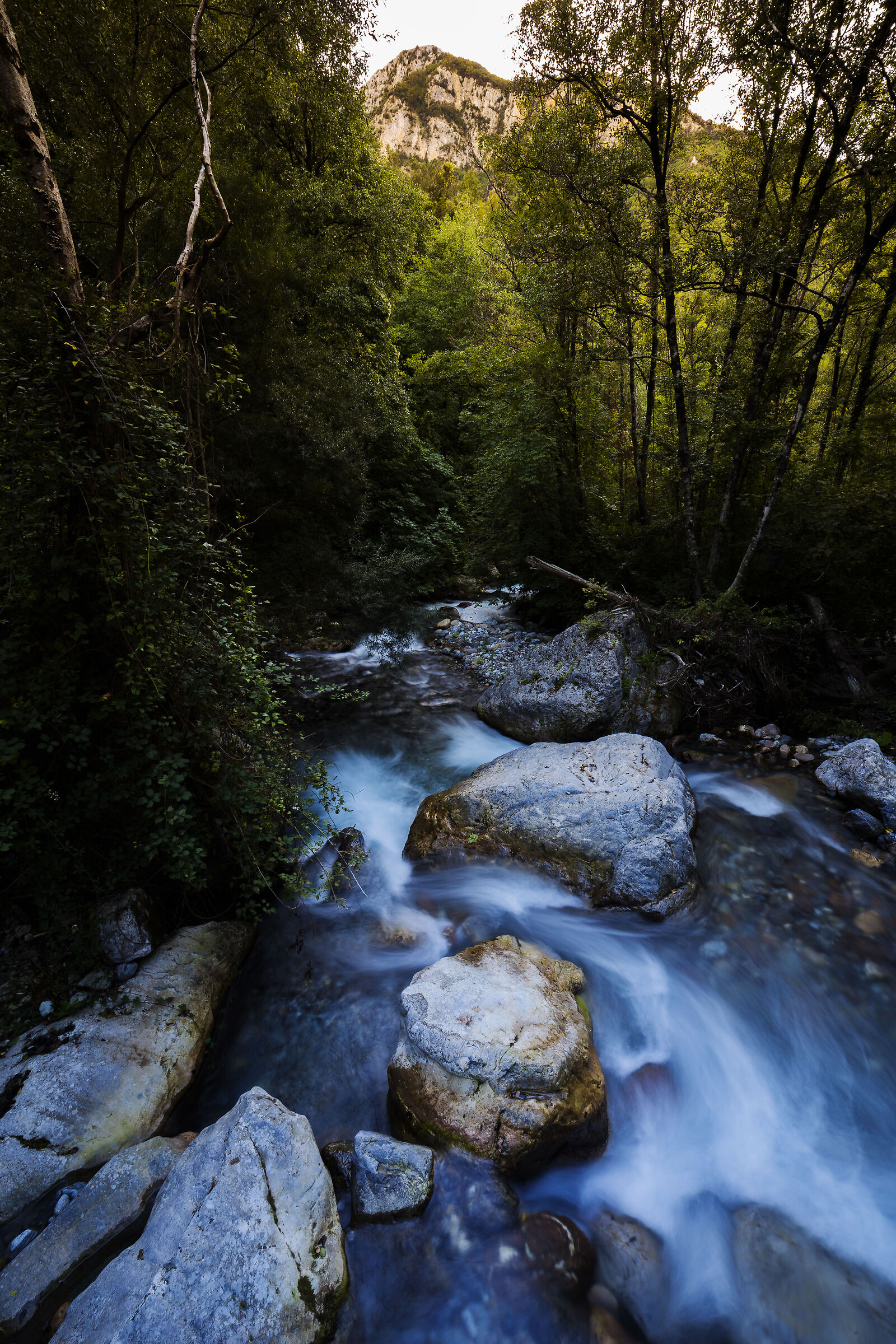 The Argentino River*