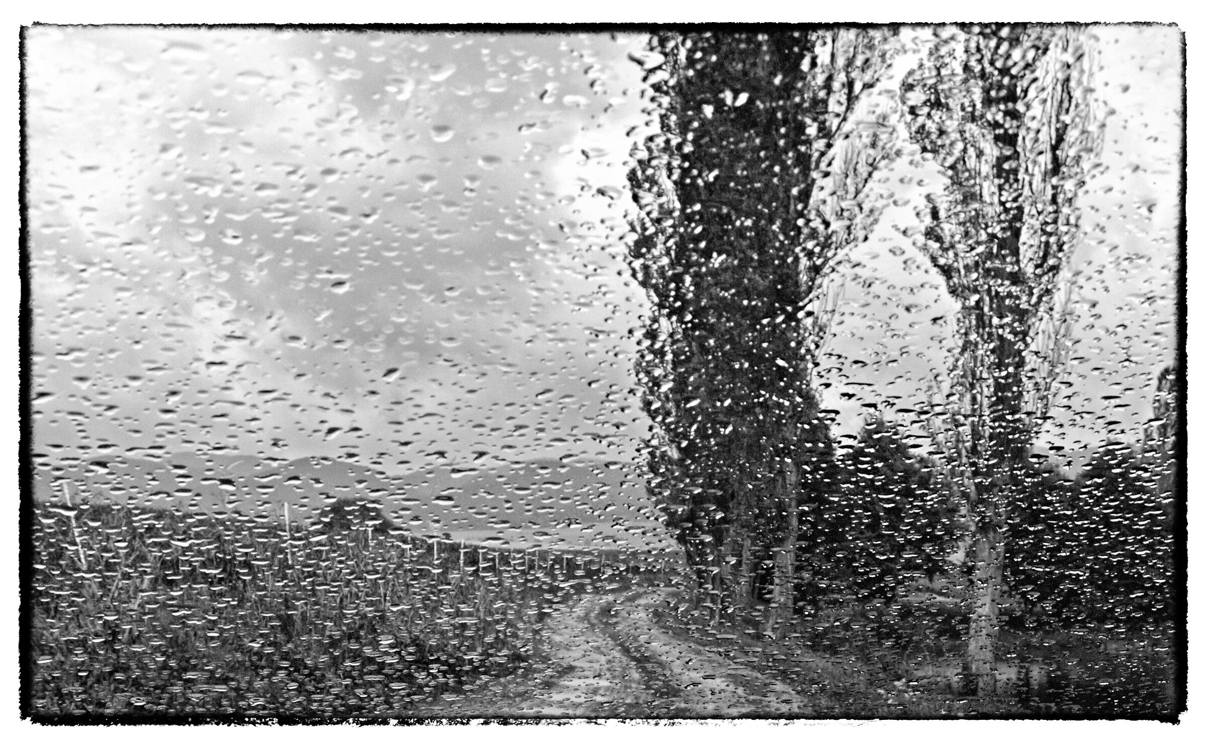 behind glass - black and white