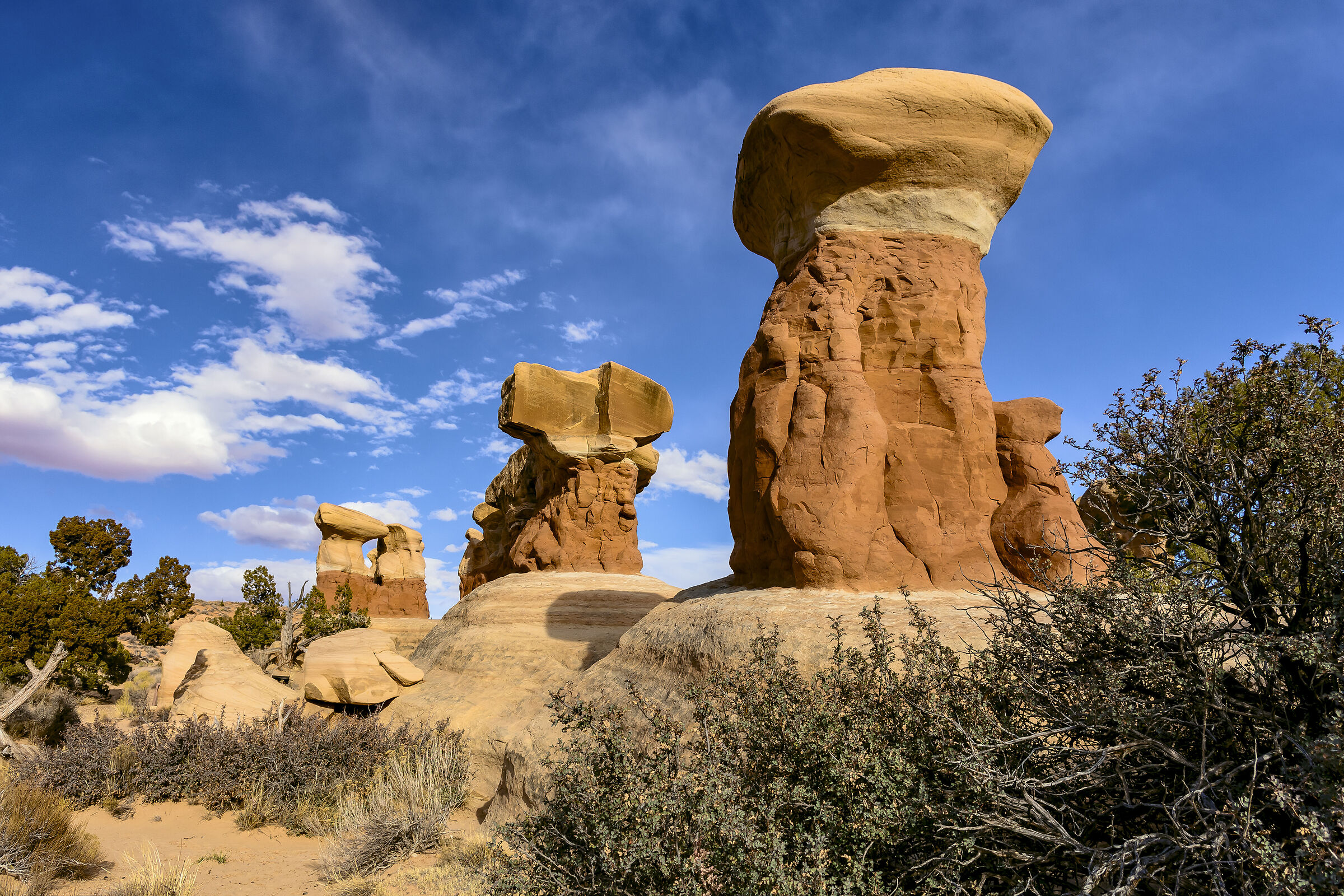 Devil's Garden Escalante Utah