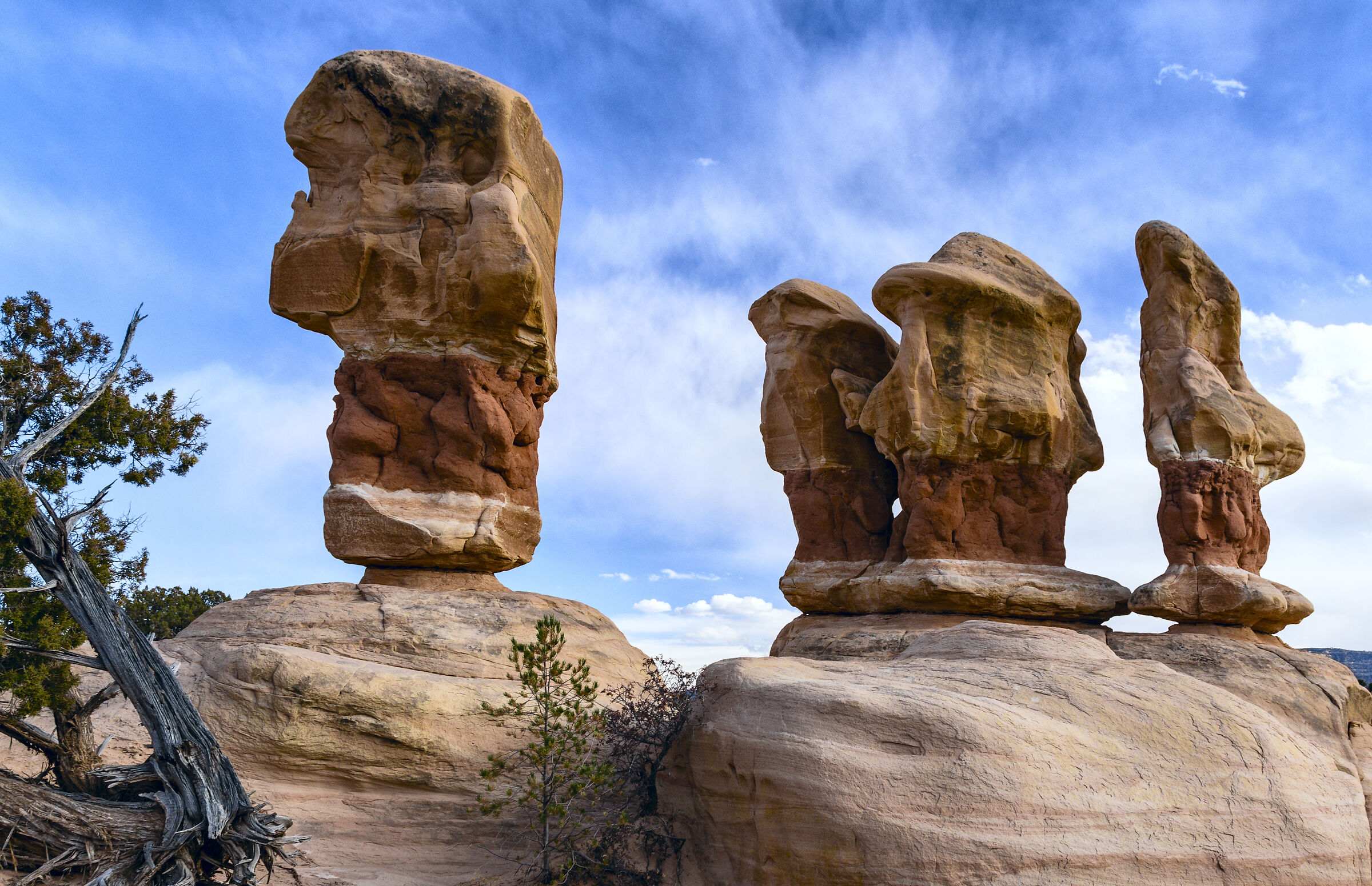 Devil's Garden Escalante Utah