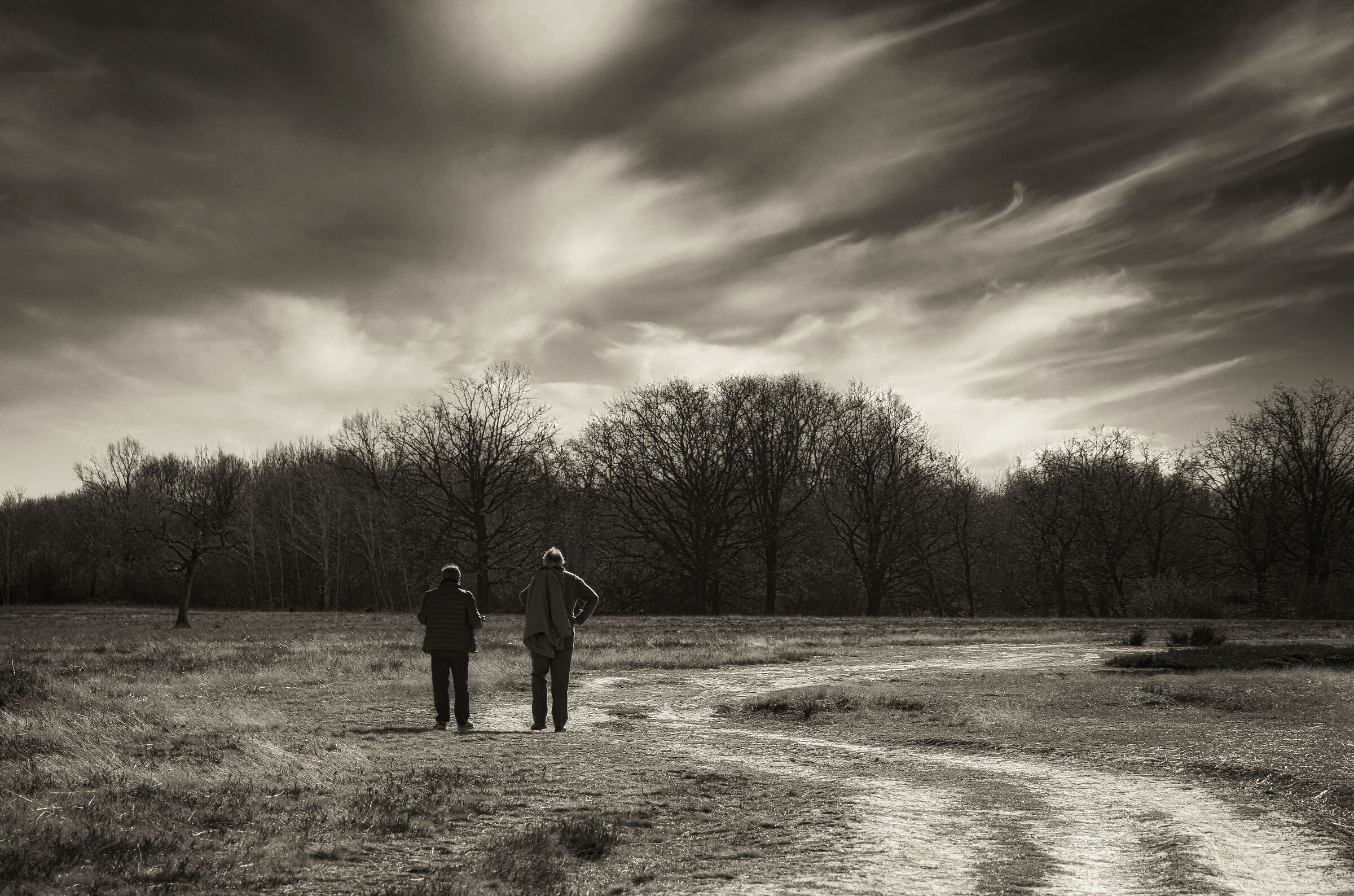 Camminando camminando