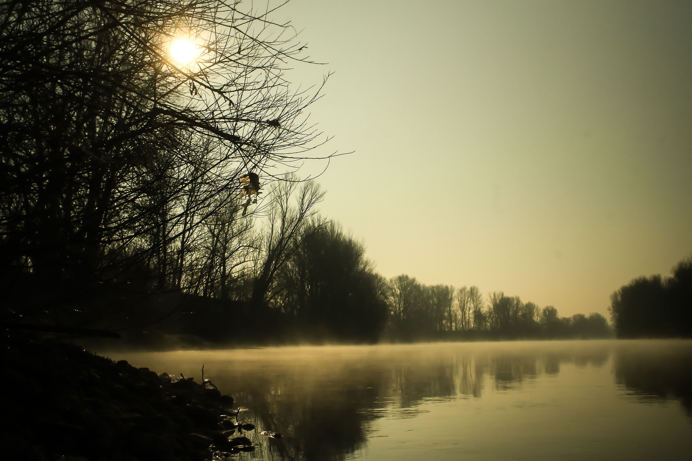 River Adda resting