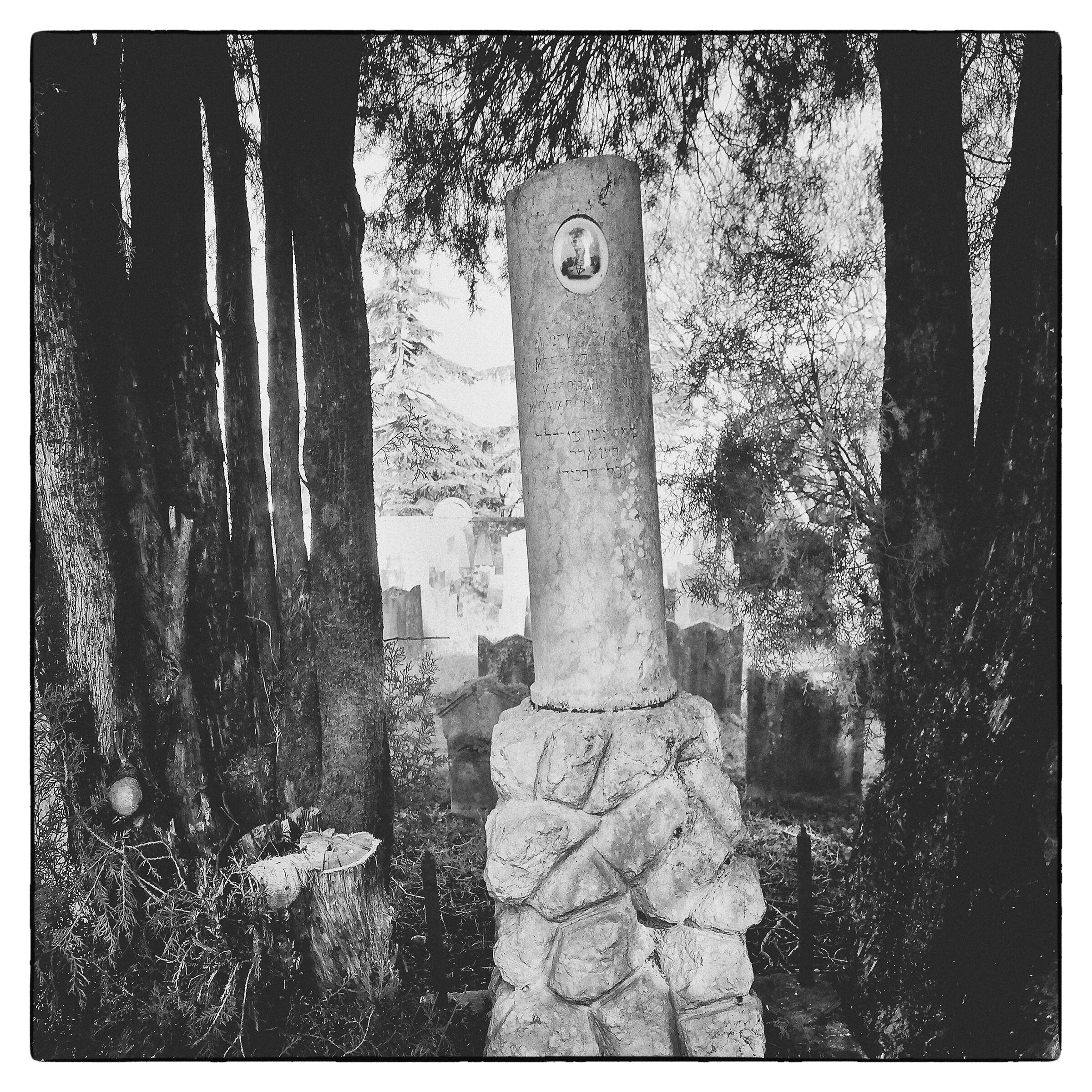 Jewish Cemetery of Verona