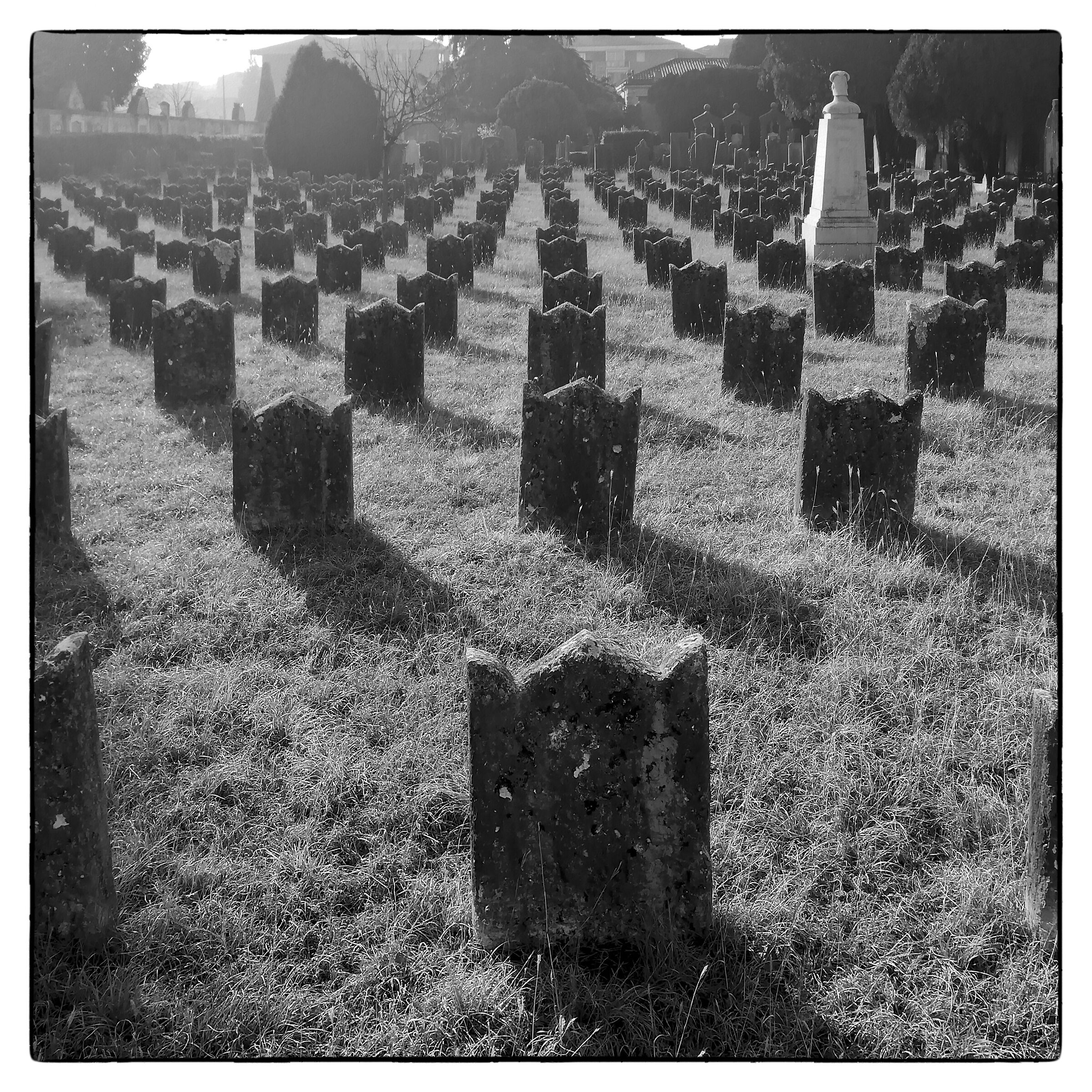 Jewish Cemetery of Verona