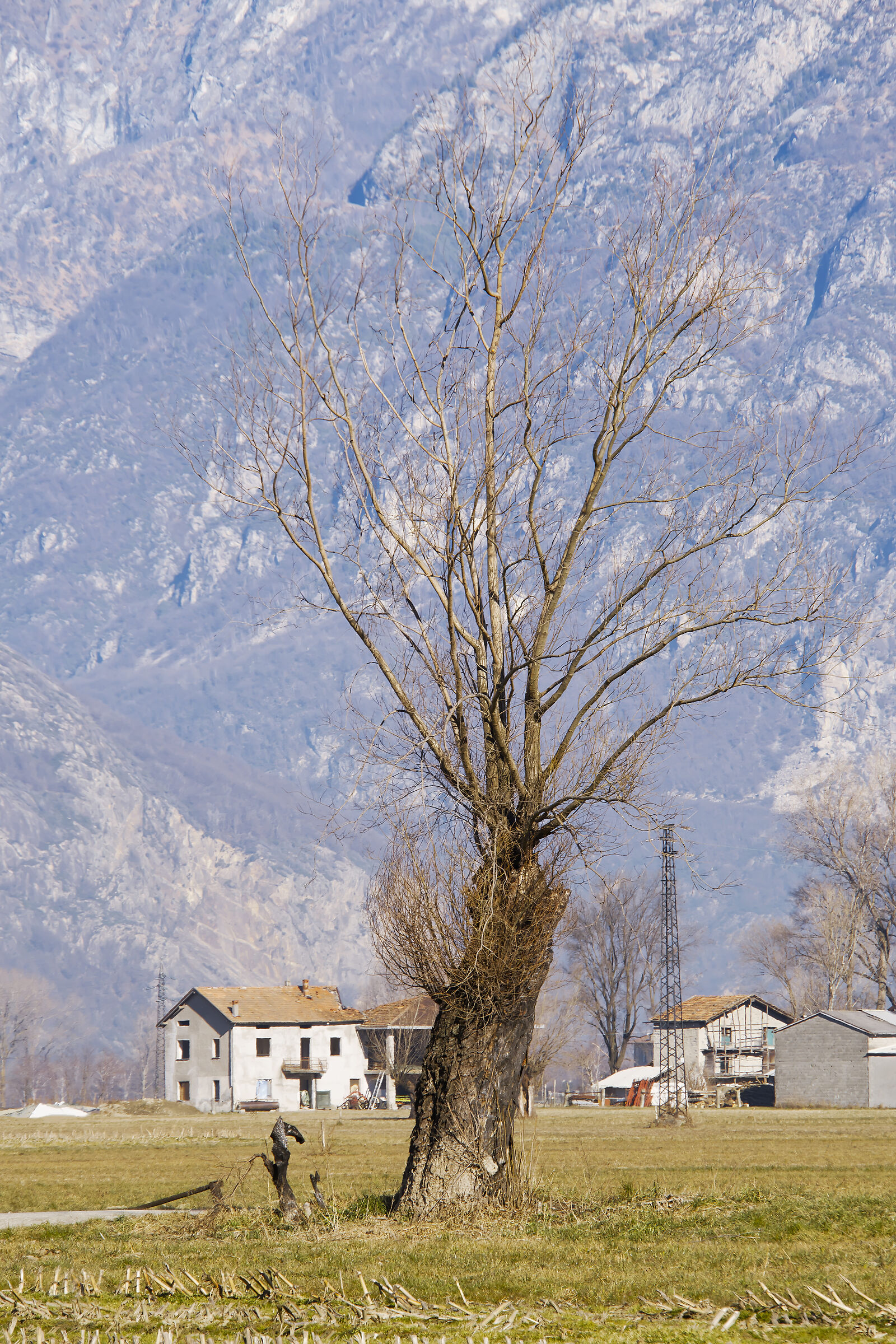 Pian di Spagna Nature Reserve (SO)
