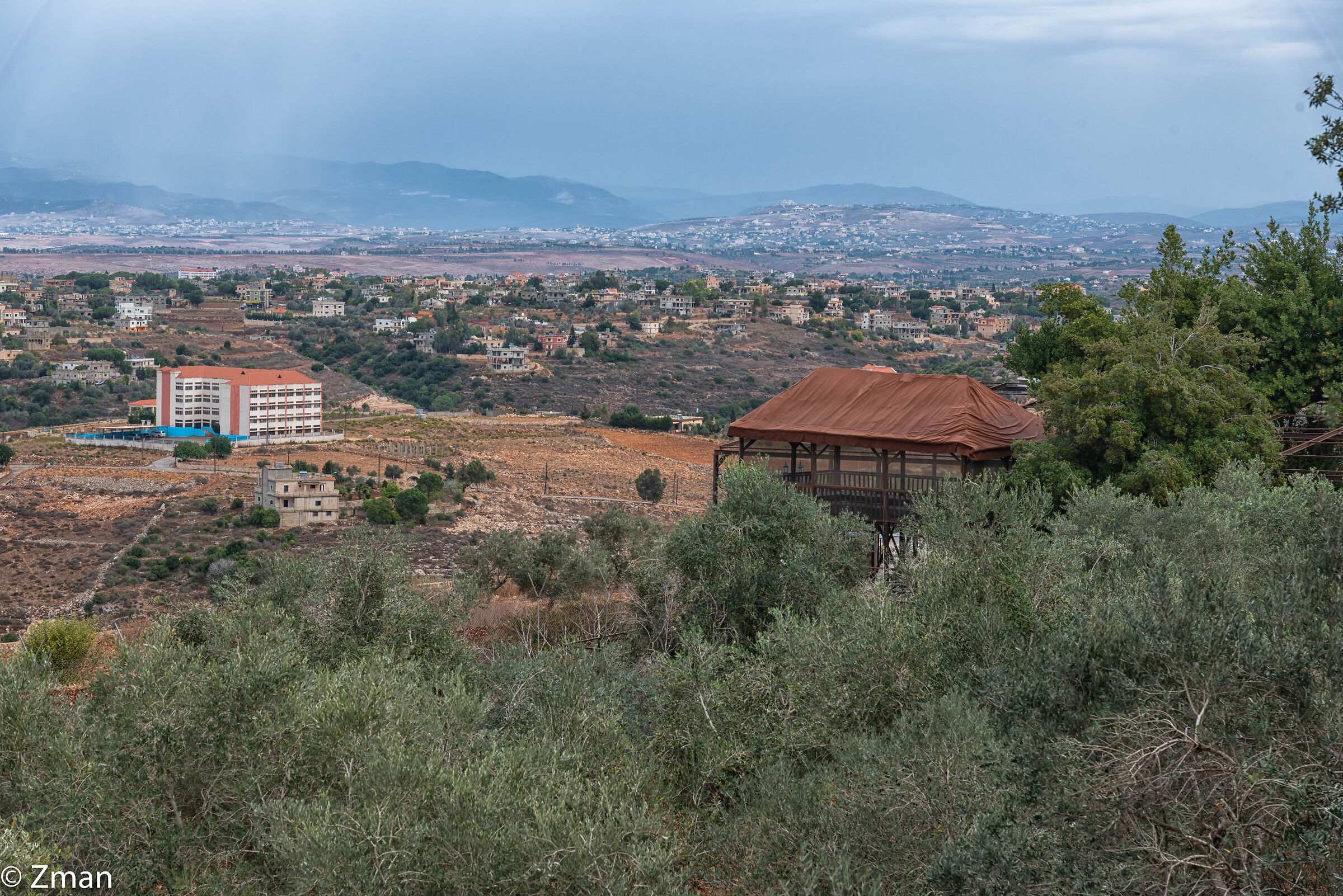 Olive Trees and The Gazebo