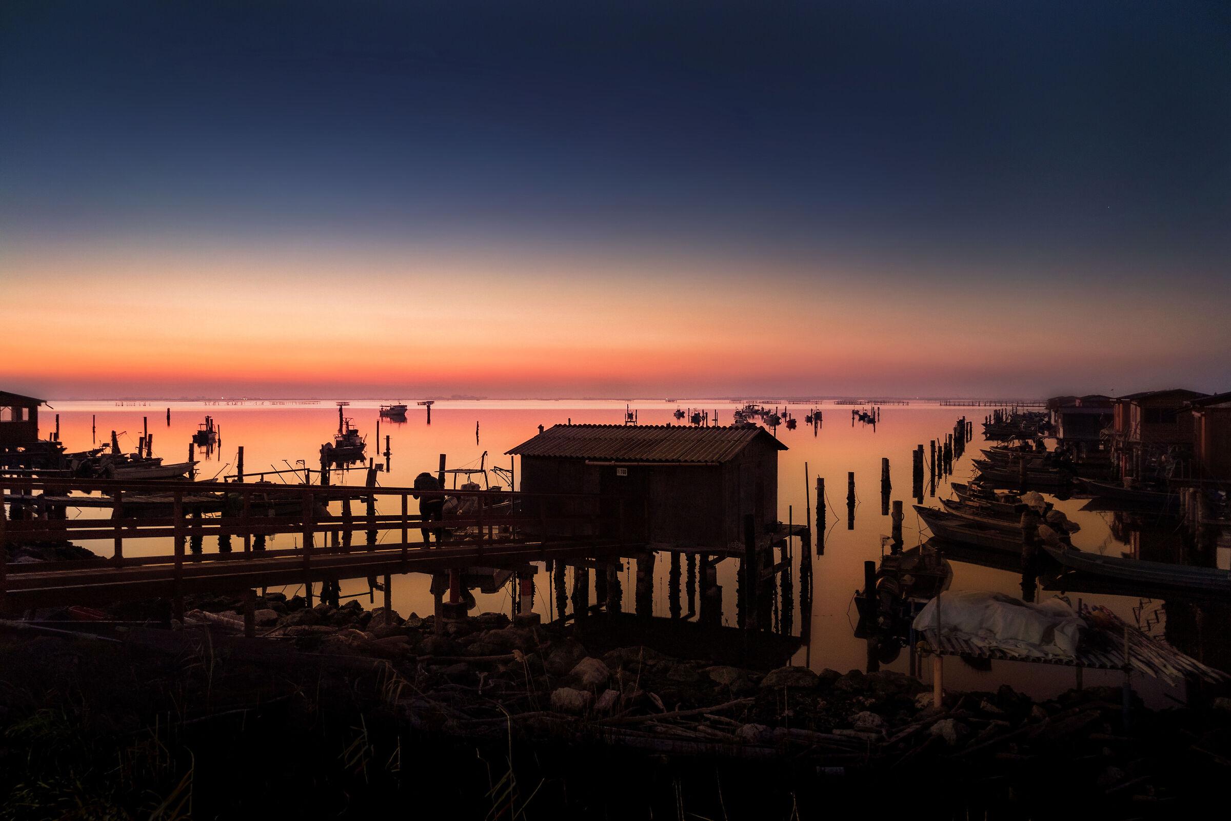 Sacca degli Scardovari