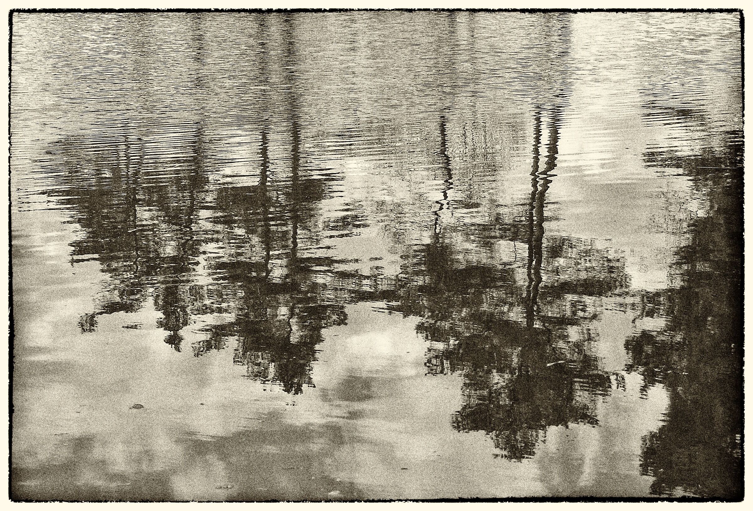 reflection - black and white