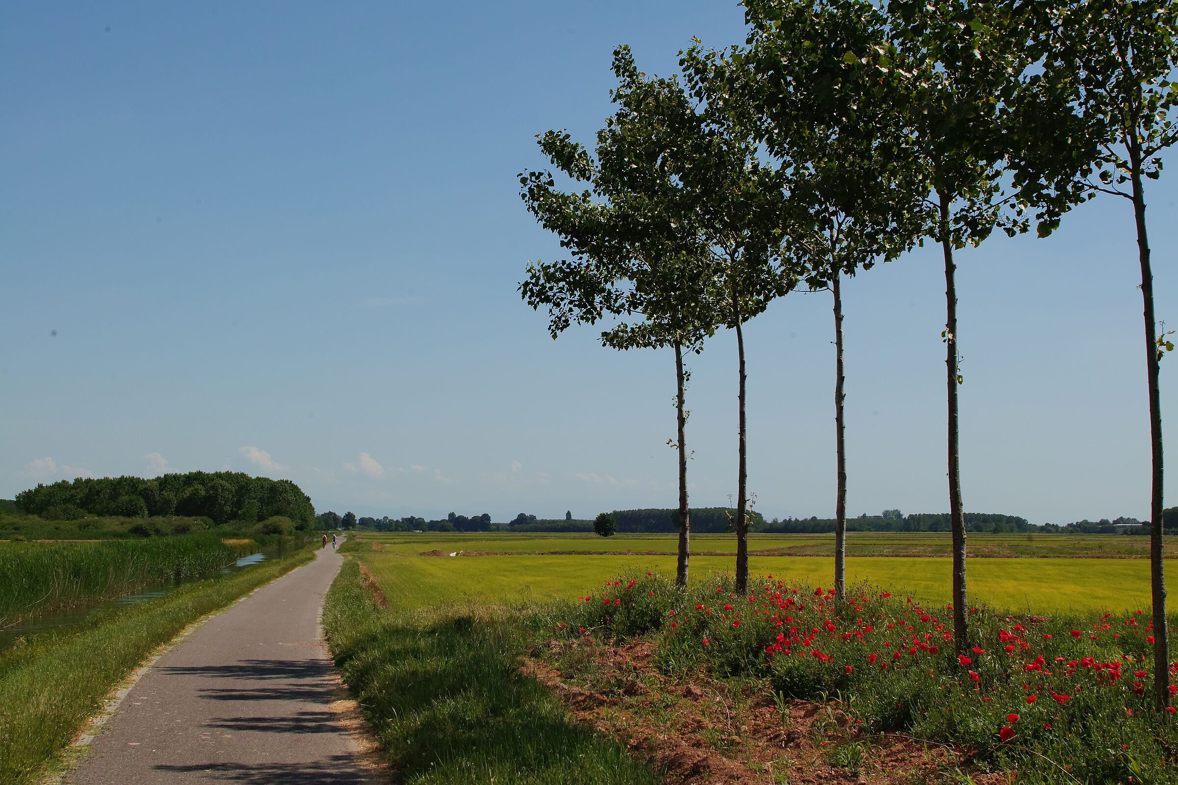Po Valley