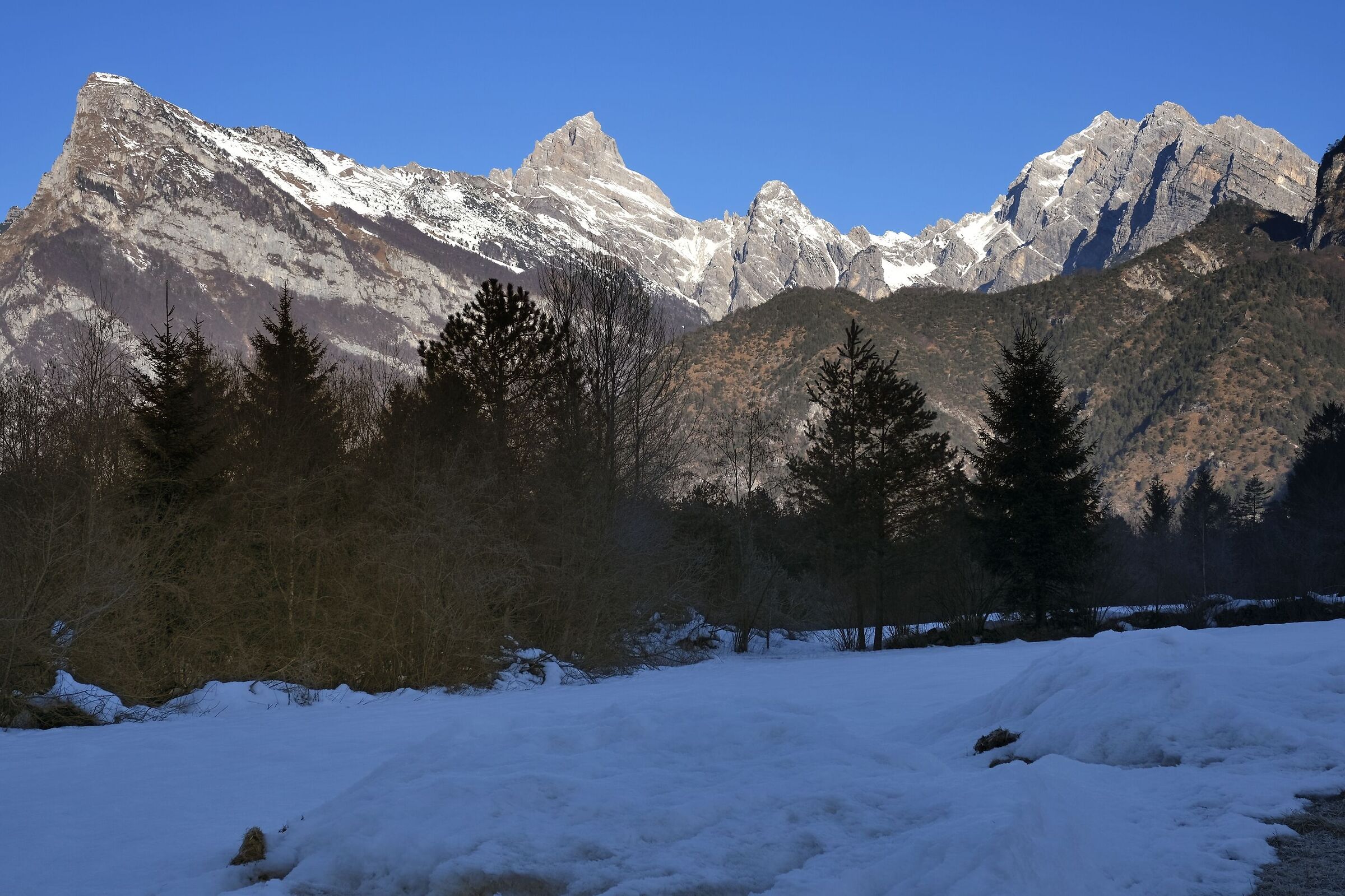 Friuli