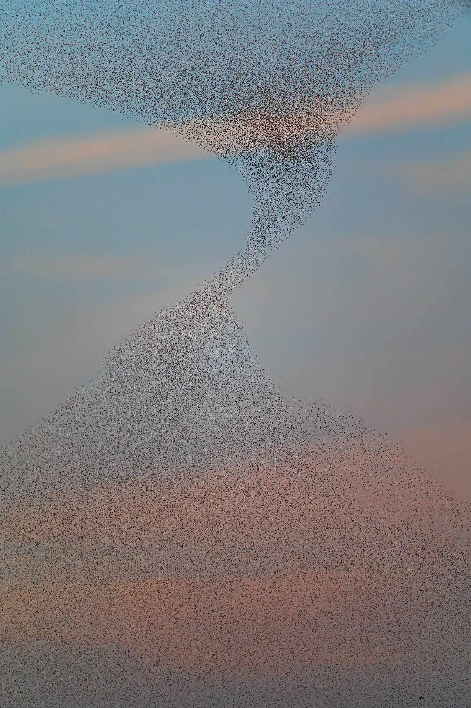 Vortex