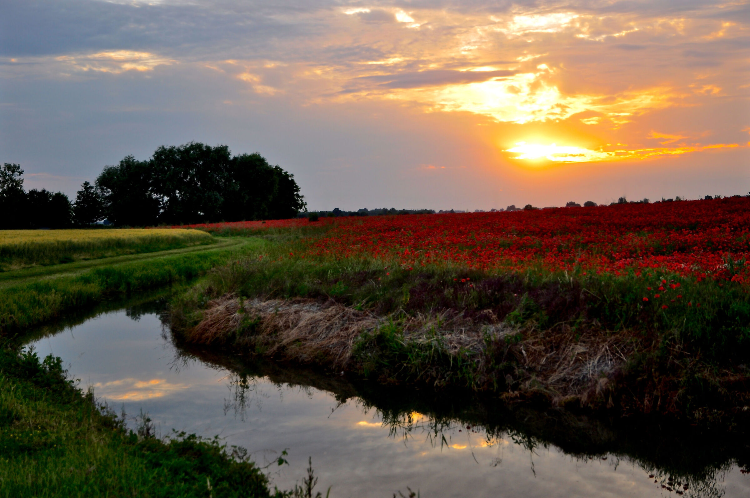 LOMBARD COUNTRYSIDE AT SUNSET 1
