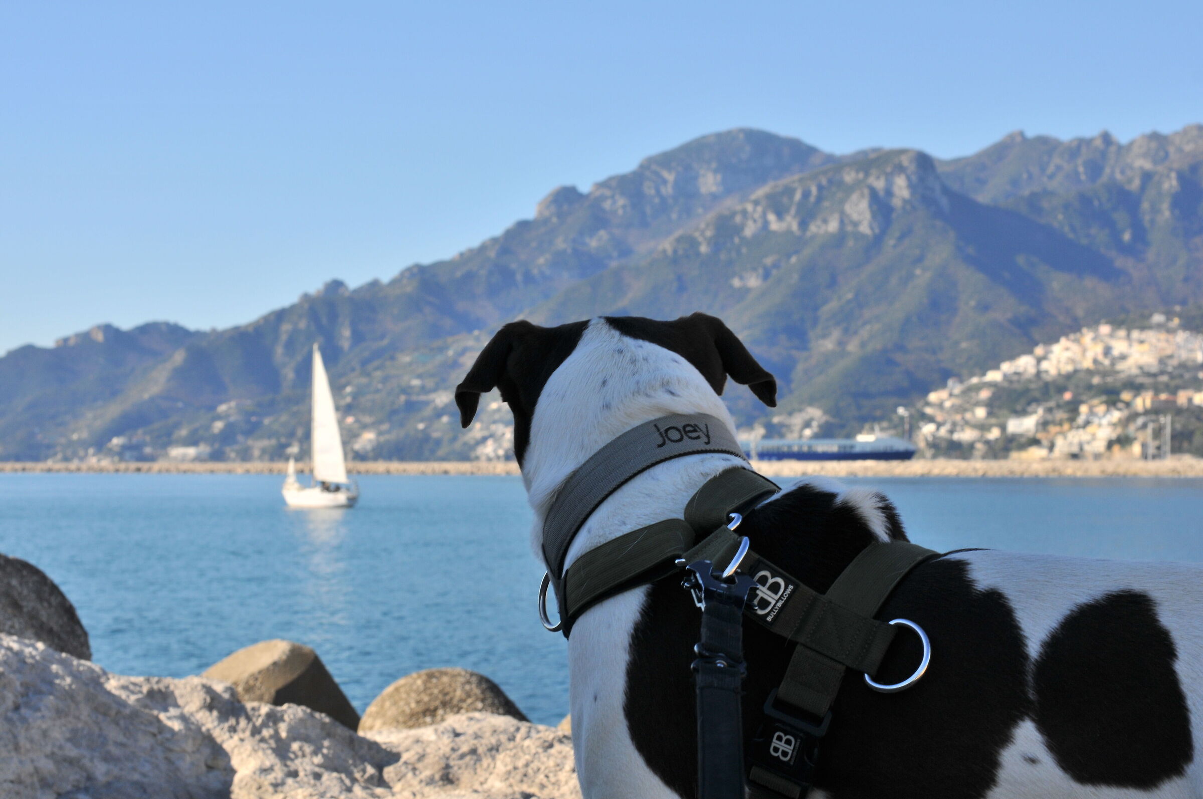 Porto Salerno