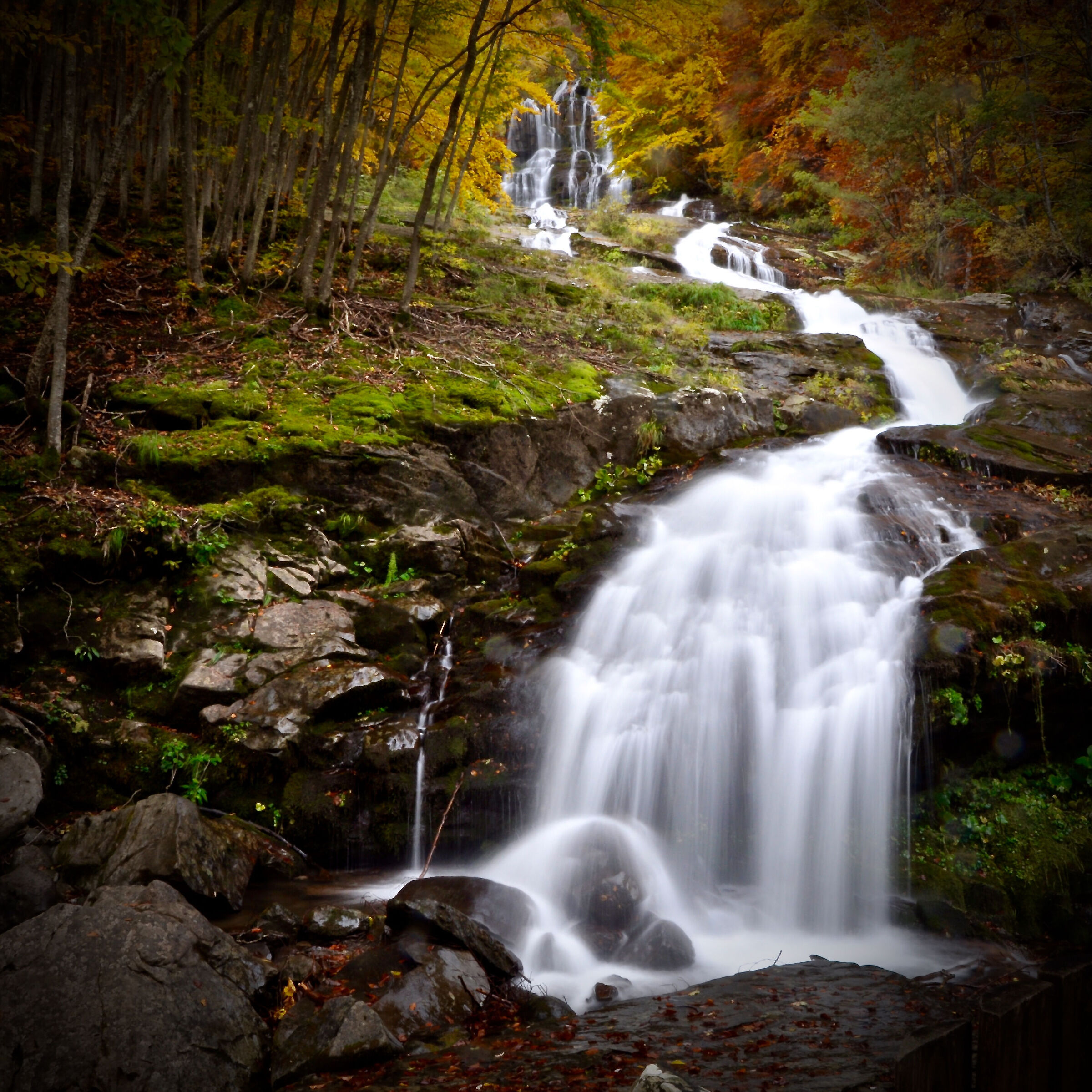 WATERFALL OF THE SHOWER HEAD