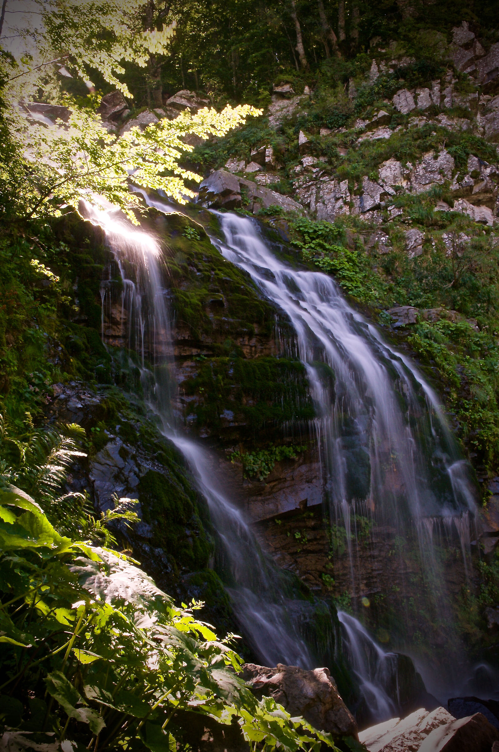 DARDAGNA WATERFALL 1