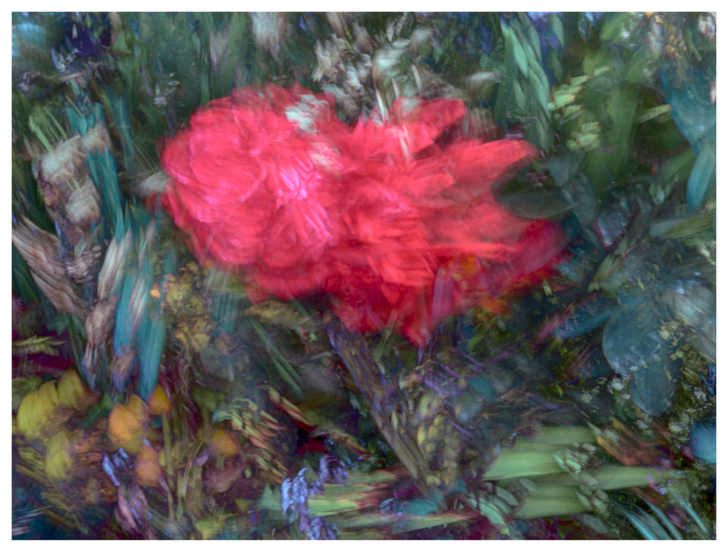 Un secondo di pittura