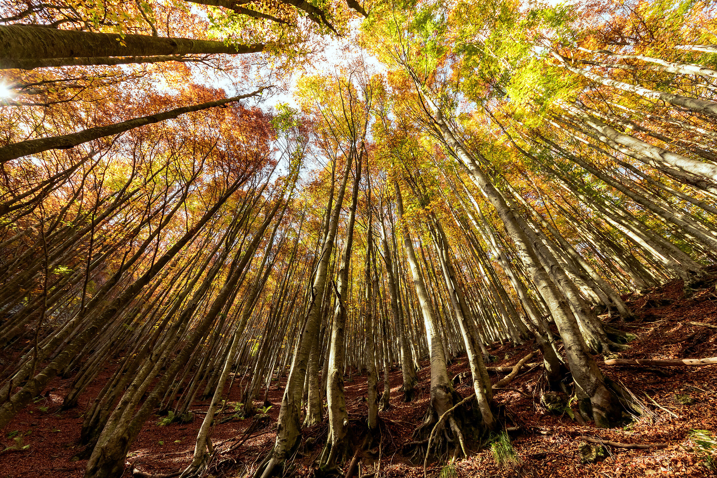 Autunno al Fato Nero