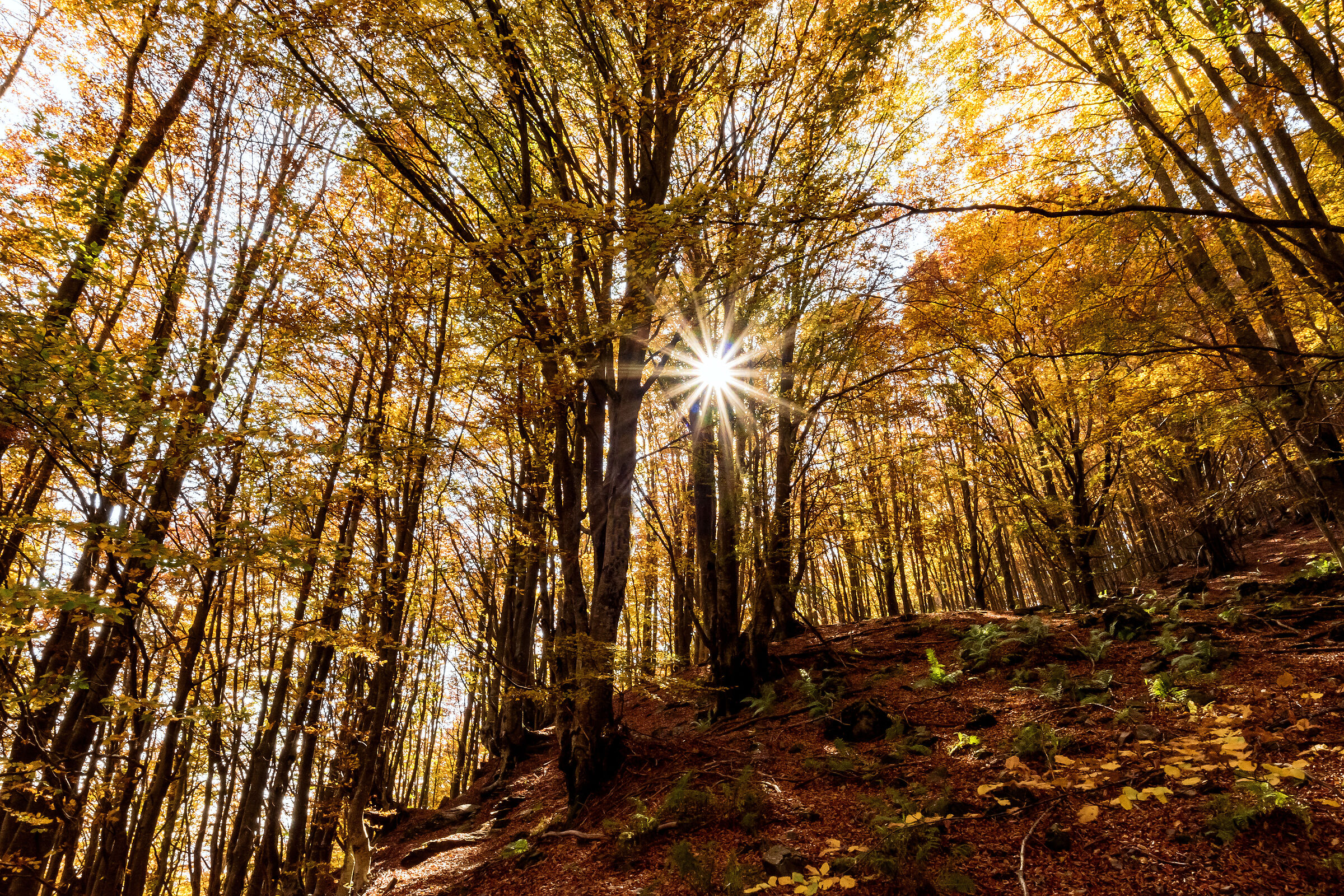 Autunno al Fato Nero