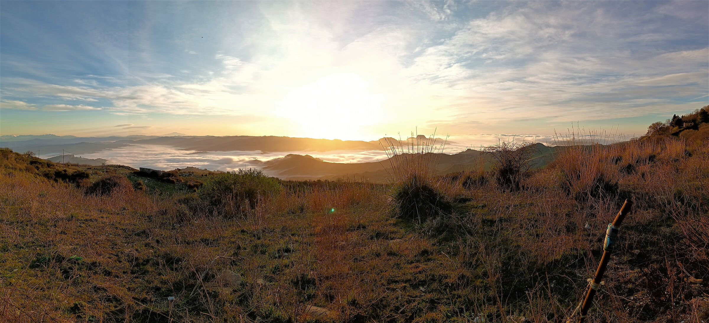 panorama of a February morning