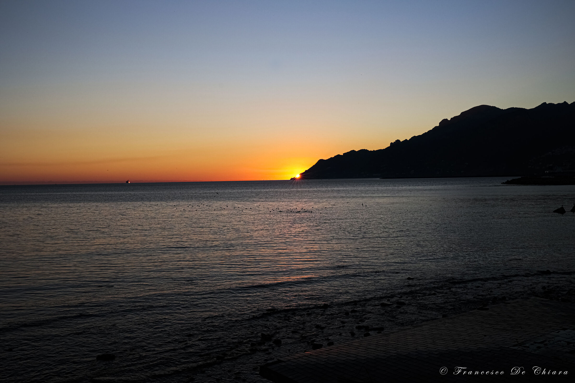 Untitled Photo