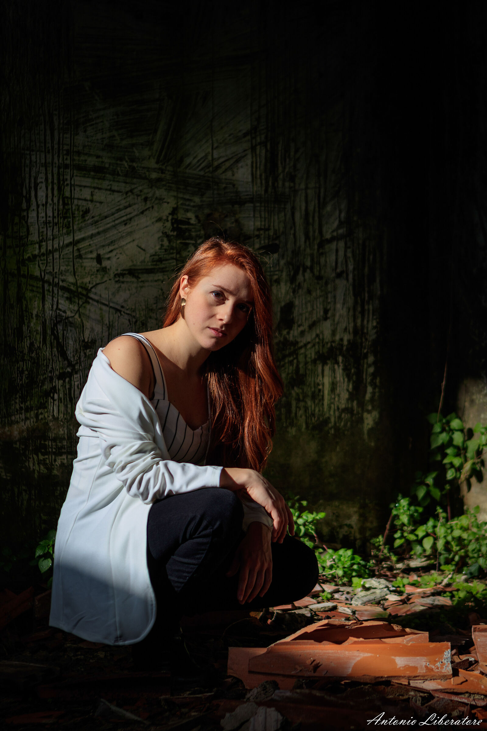 Untitled Photo