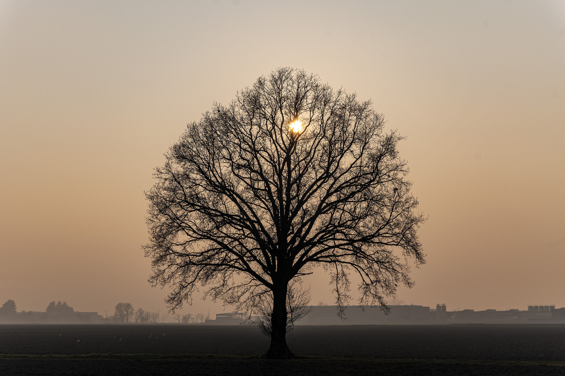 Do not hide, warm me up.