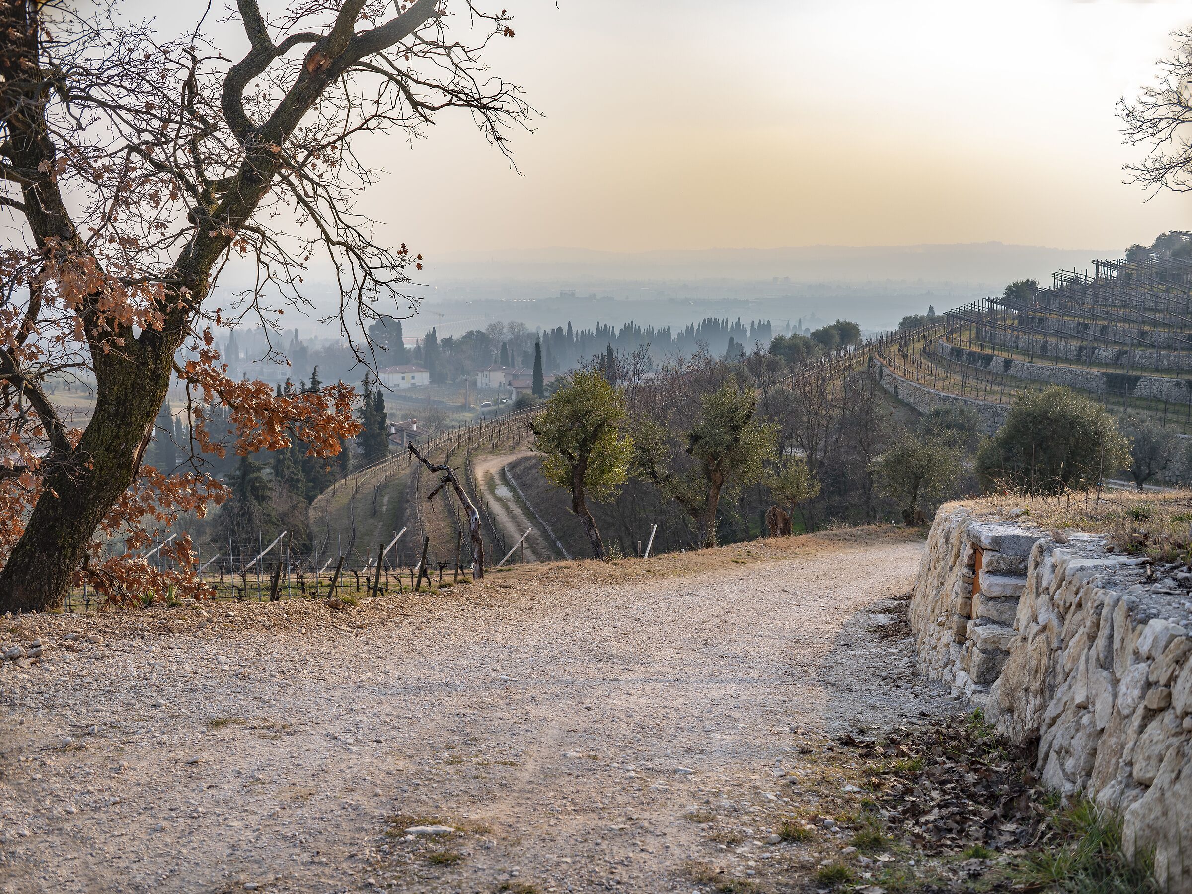 Inverno in Valpolicella