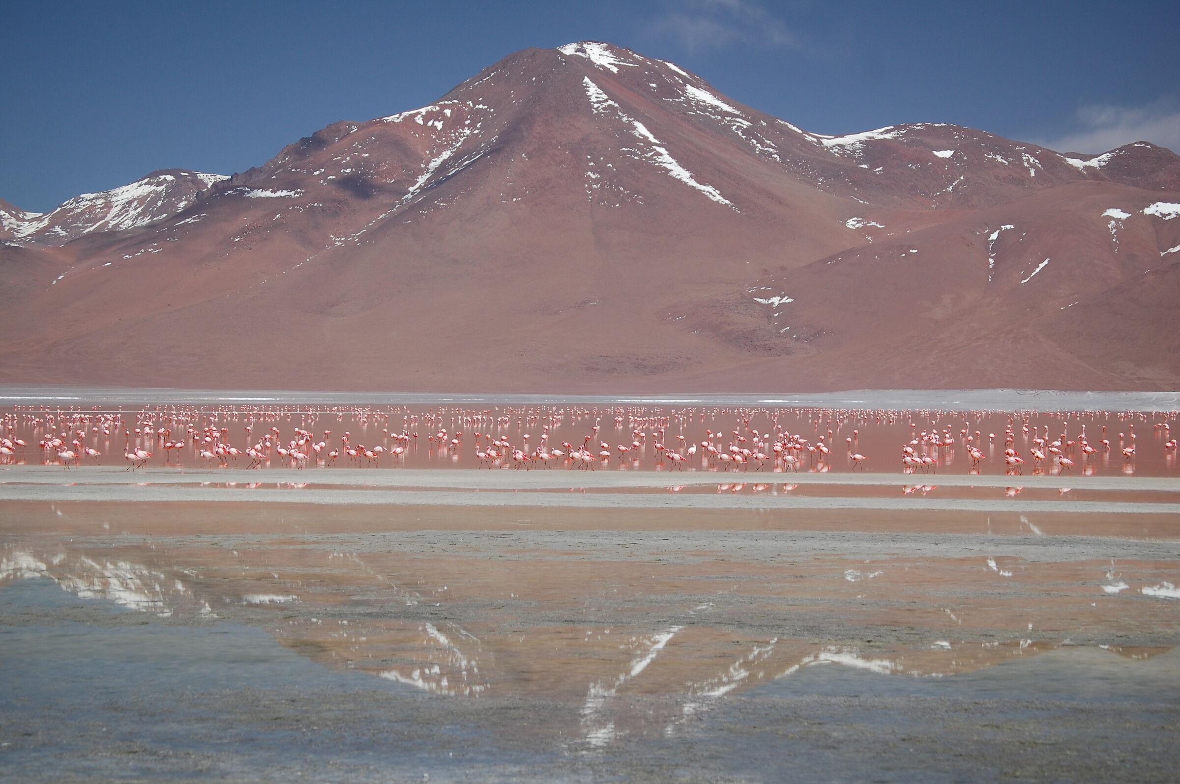 Sud Lipez - Bolivia