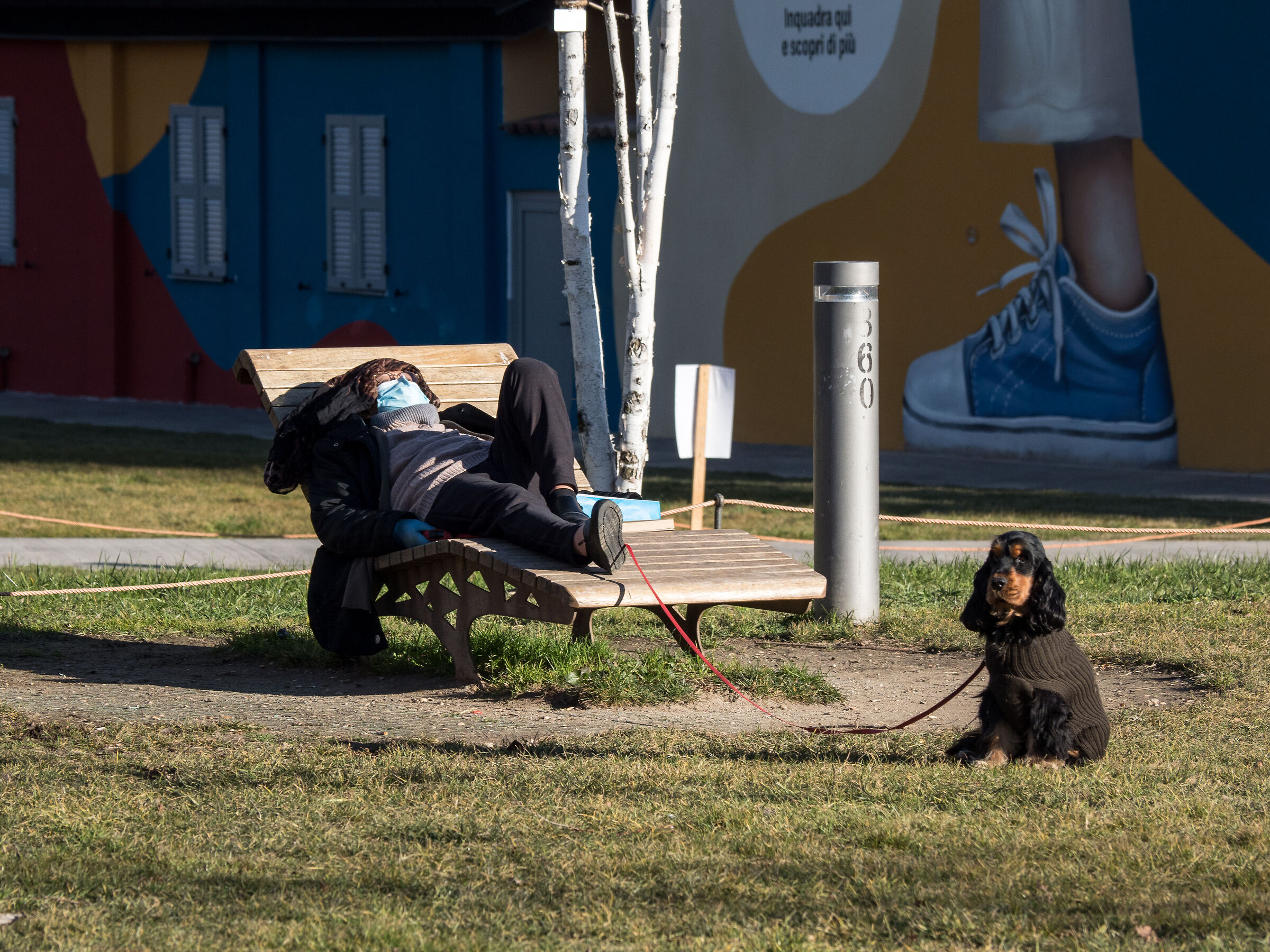 che palle... dorme sempre!
