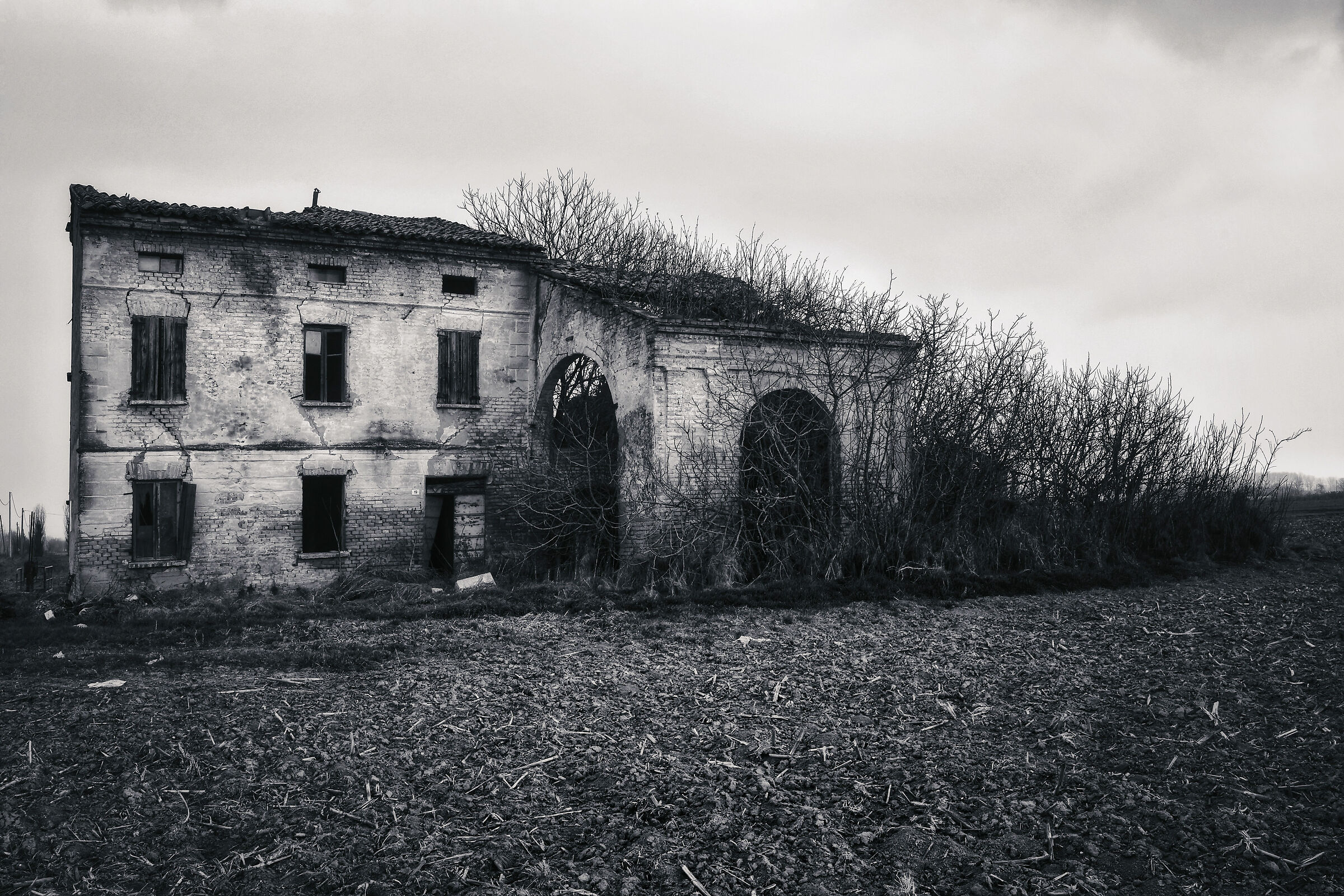 Civico 19. Affittasi...