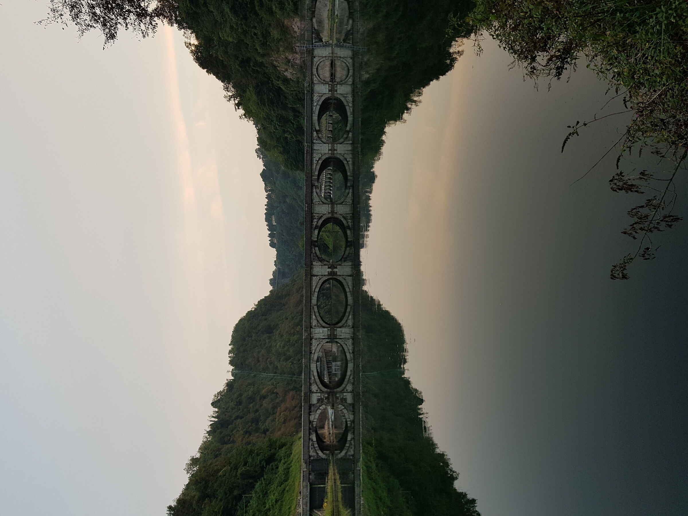 The reflection of the circles