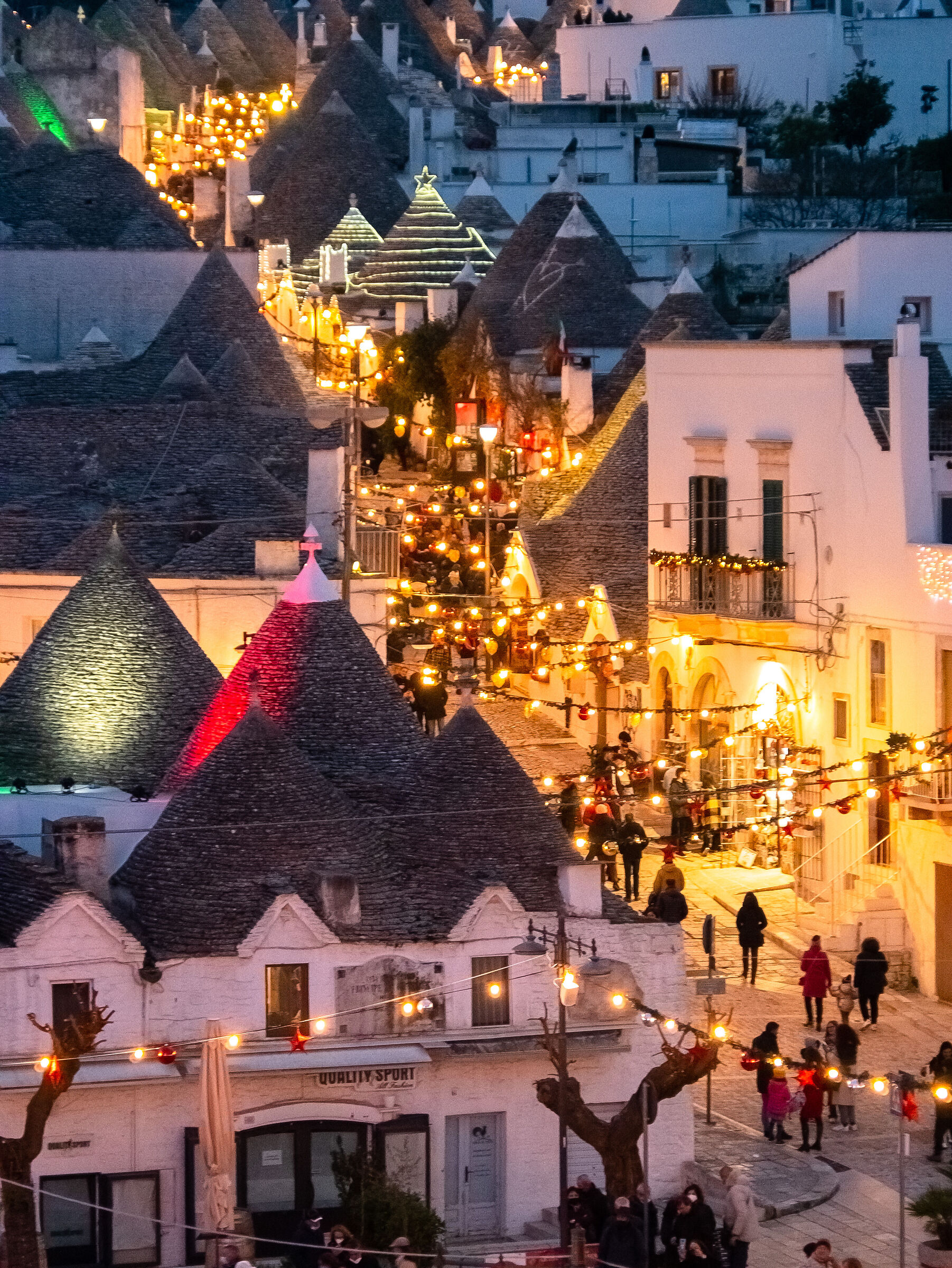 Christmas tree(beautiful)