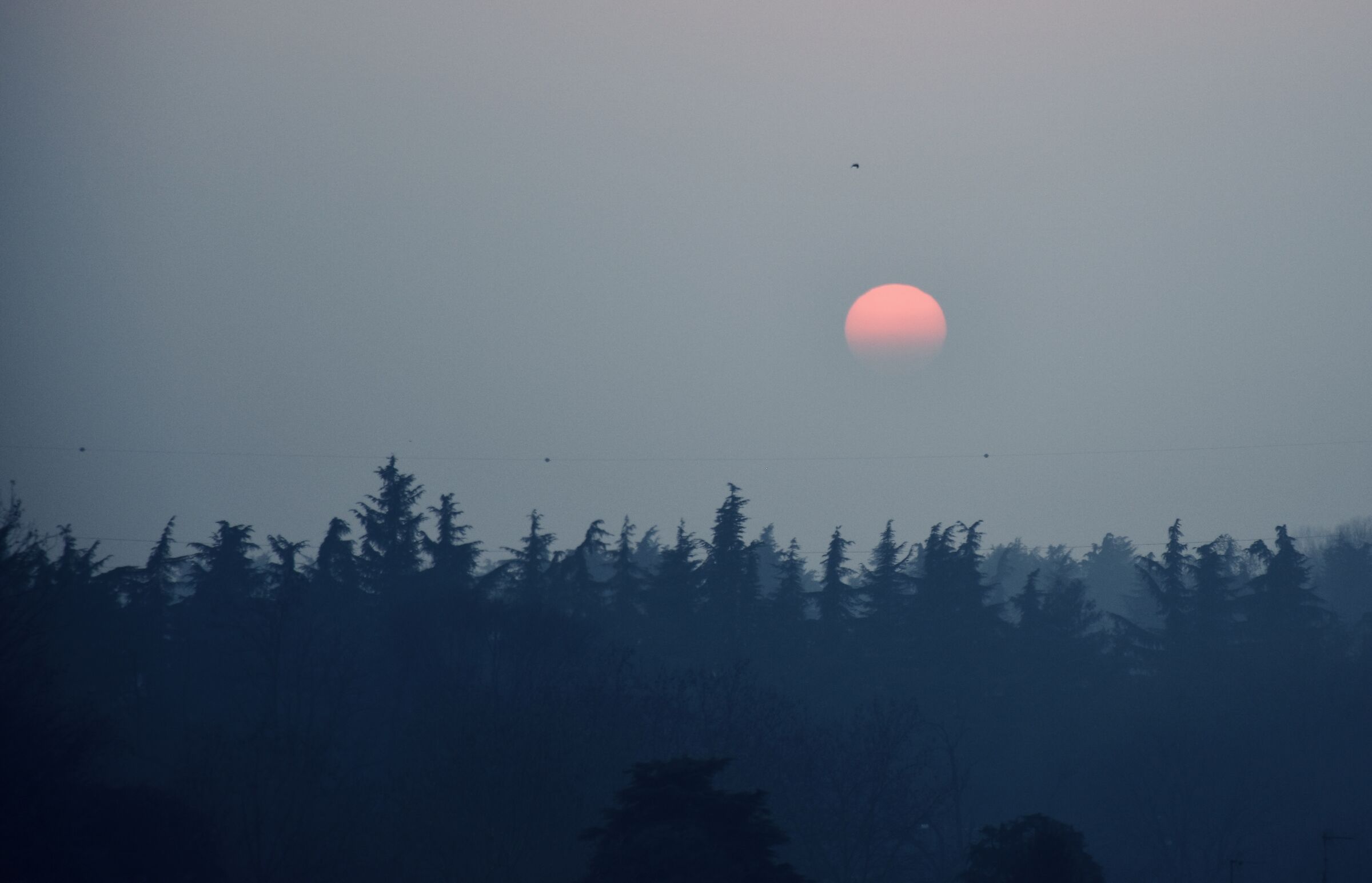 Foggy to descend