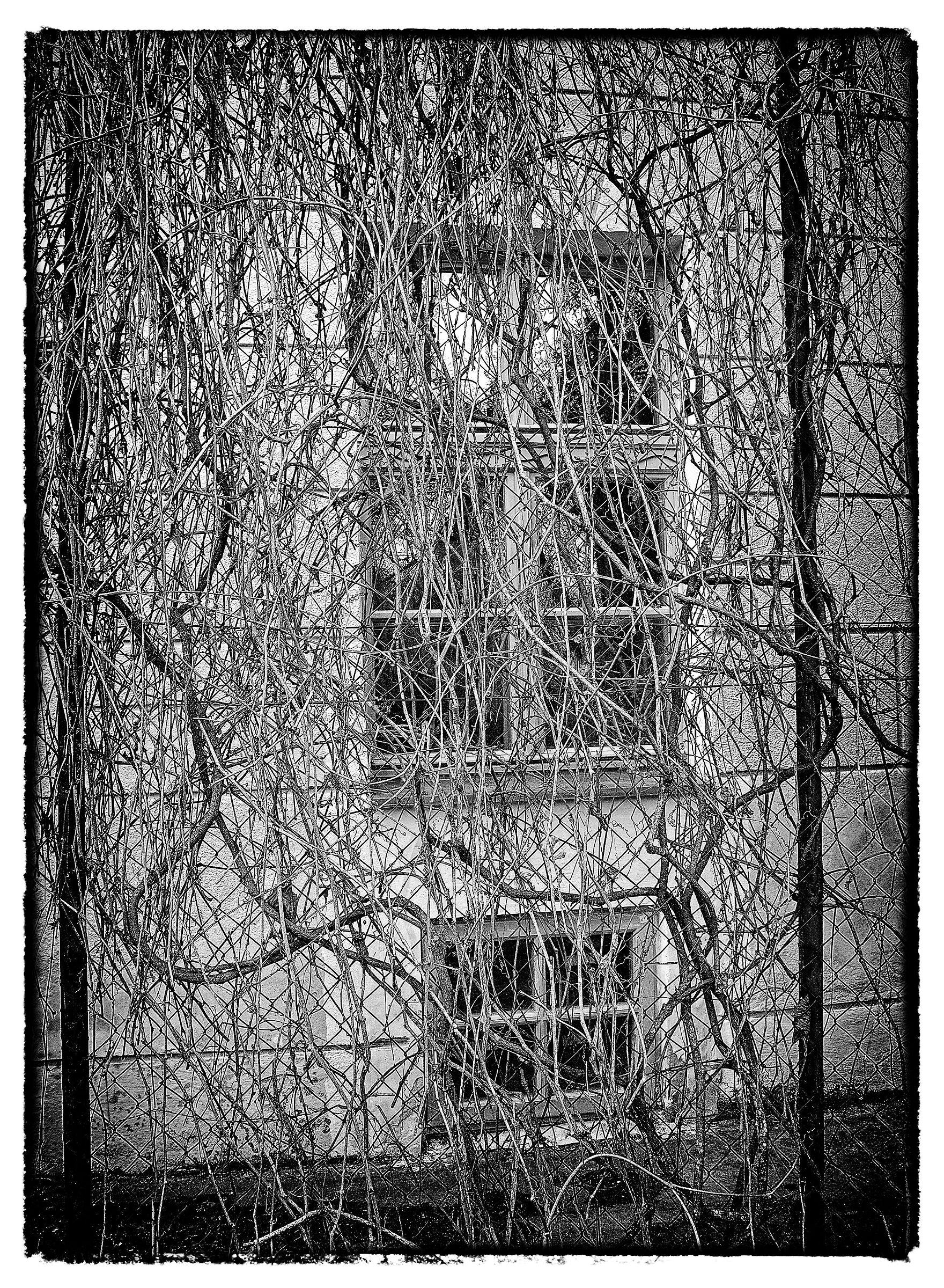window - black and white