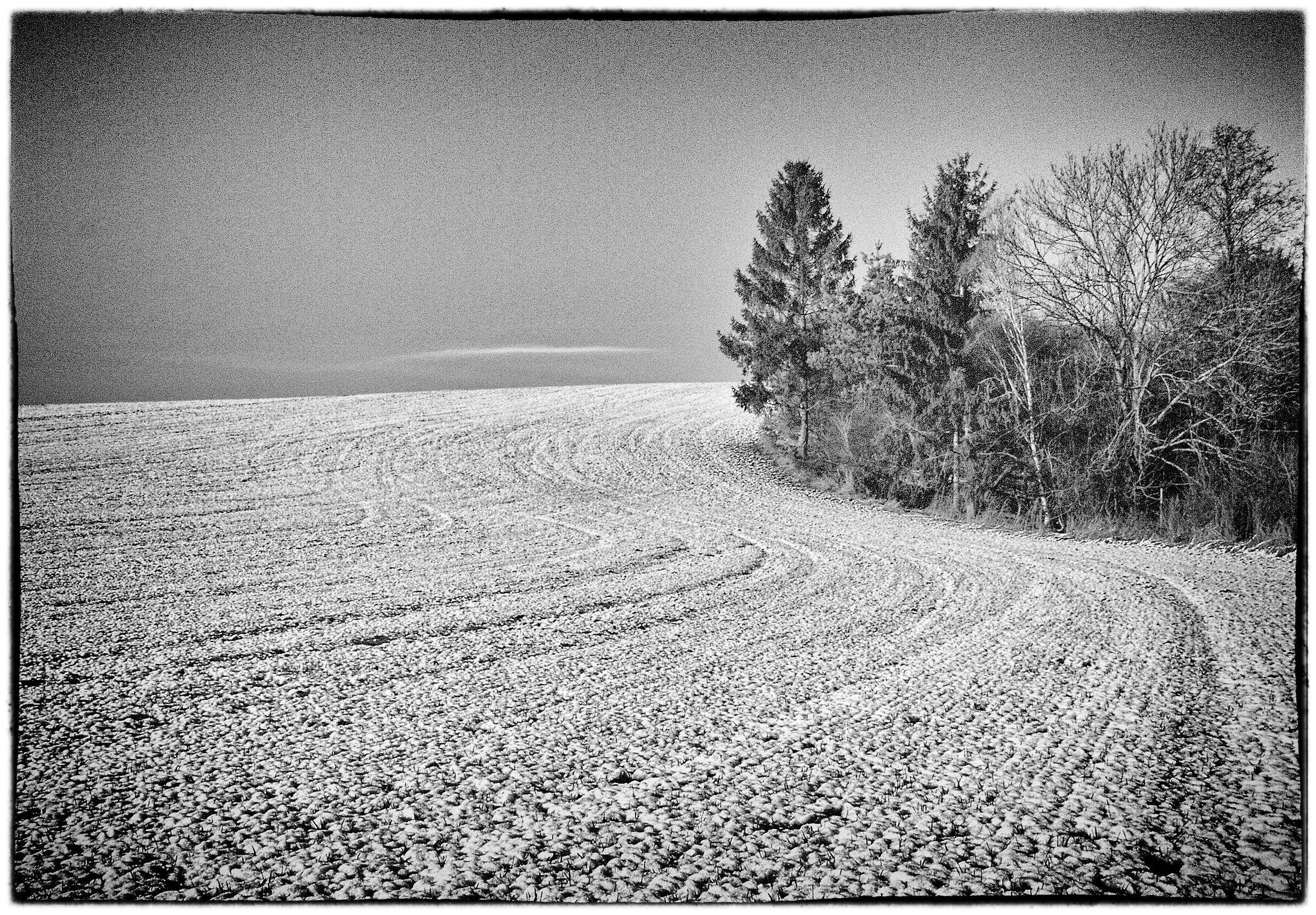 campo in bianco e nero