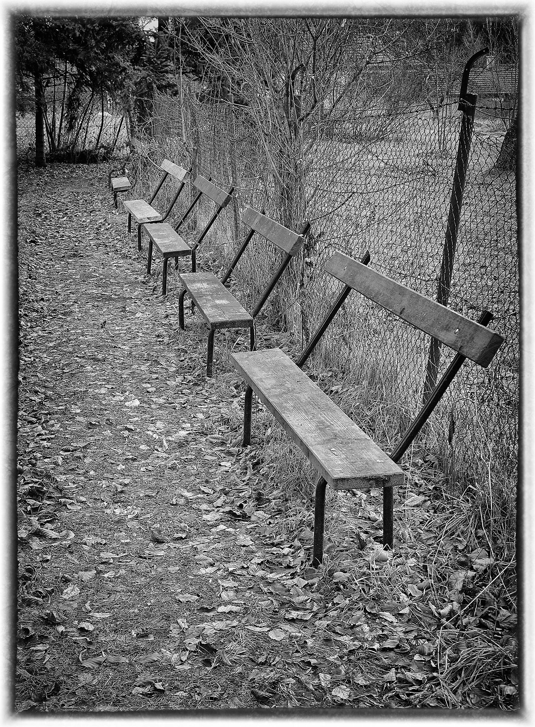benches - black and white