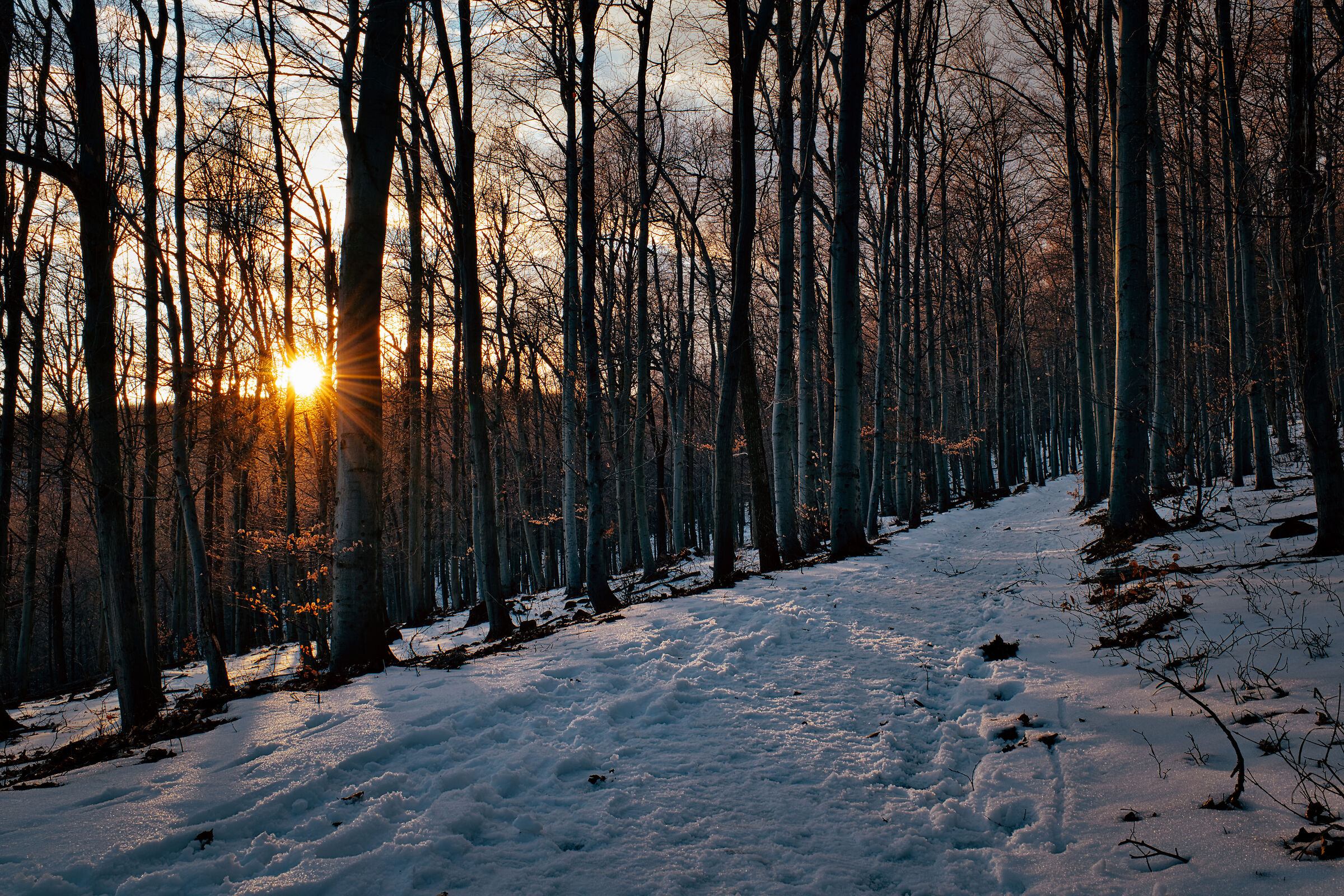 Sunset in Börzsöny mountain, Hungary