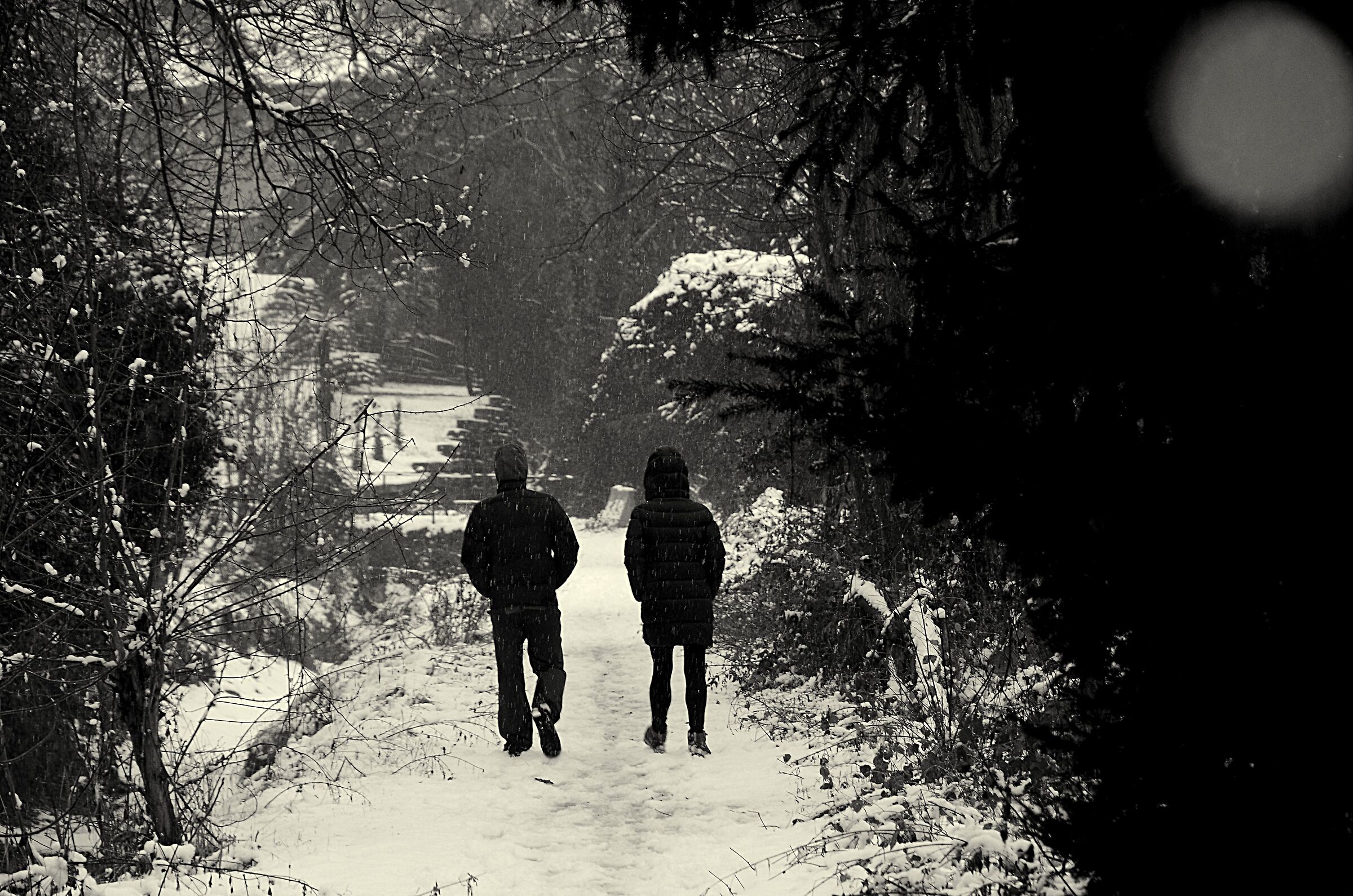 Passeggiata sotto la neve