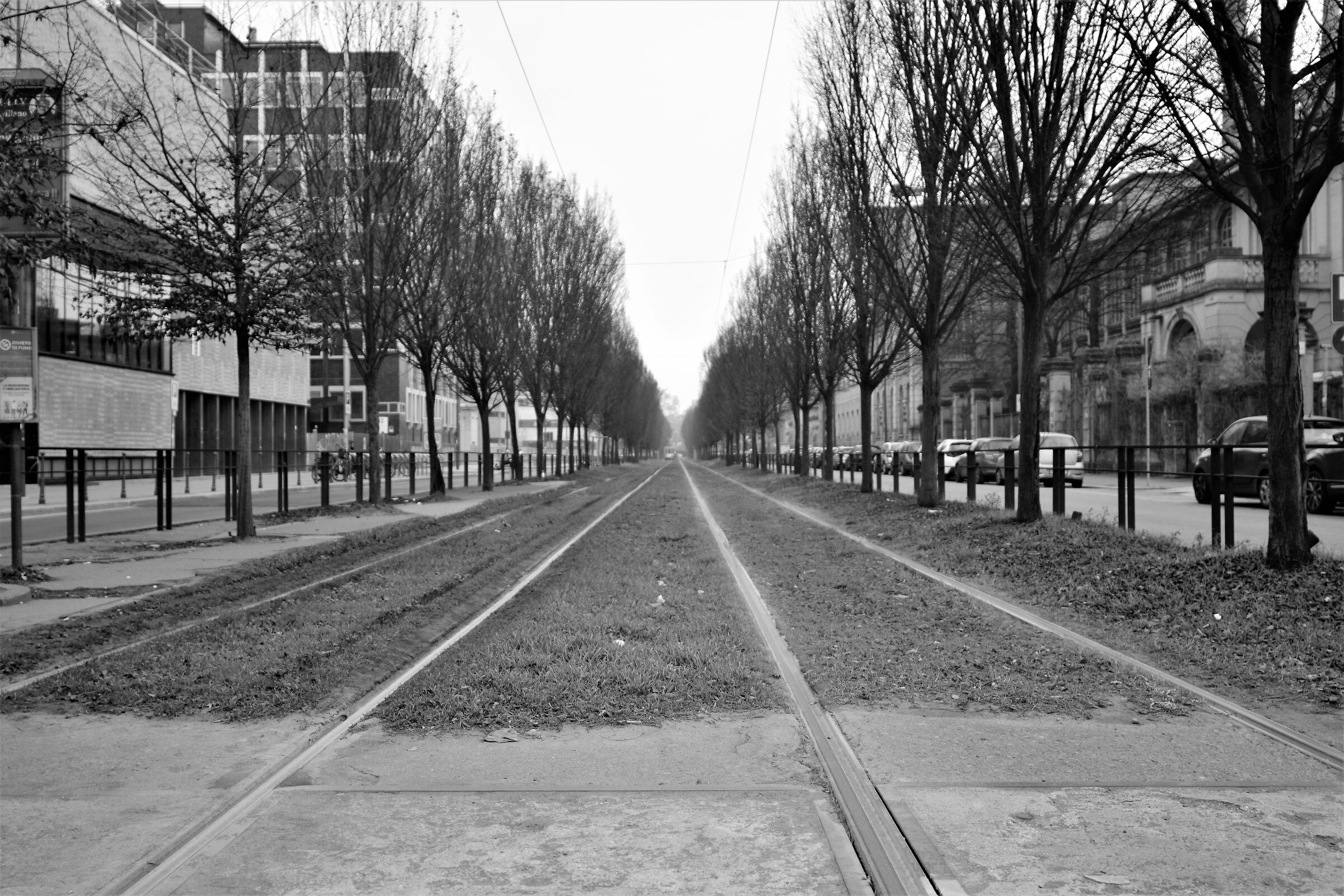 Convergenze ..parallele