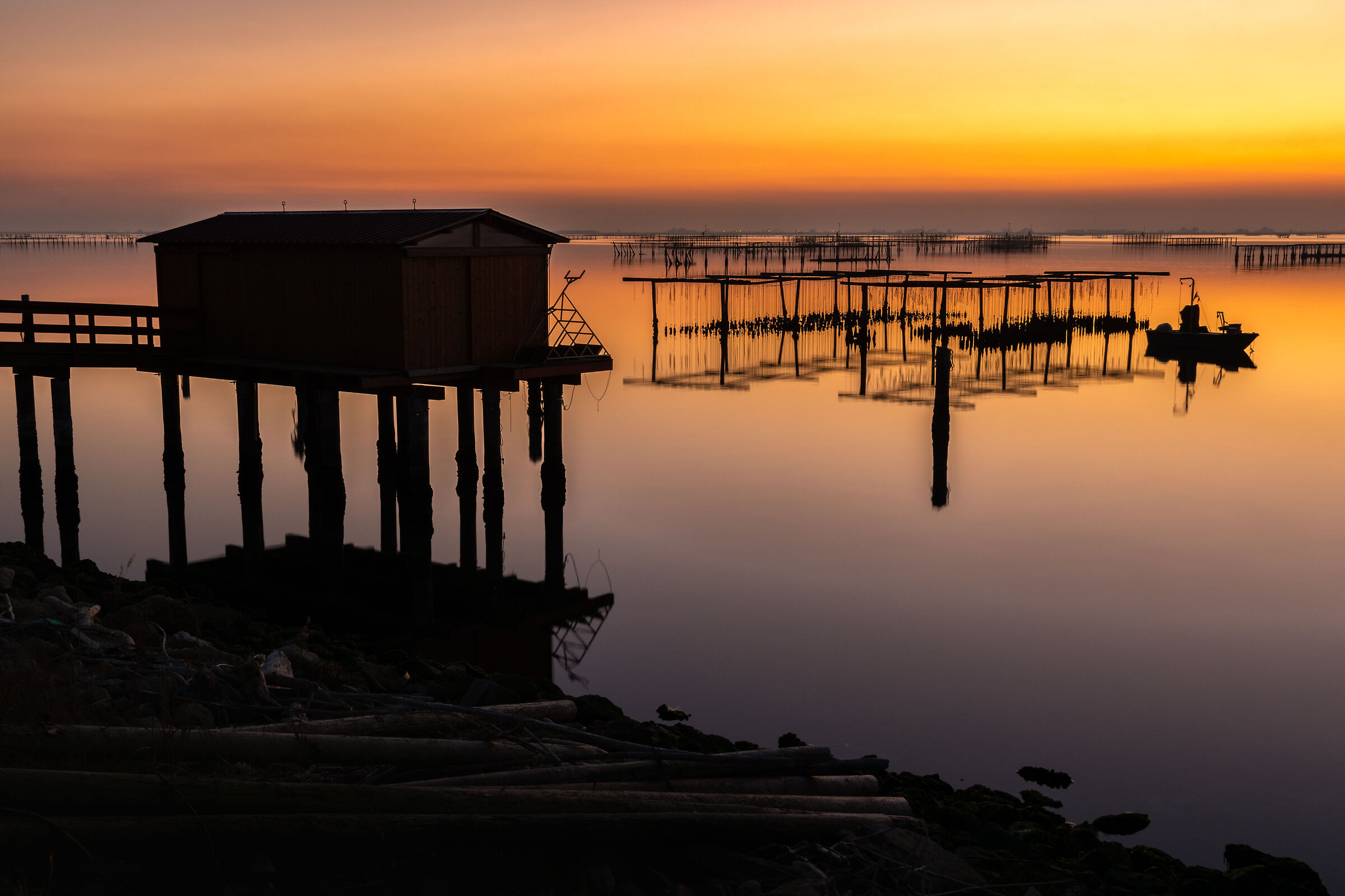 Sacca degli Scardovari