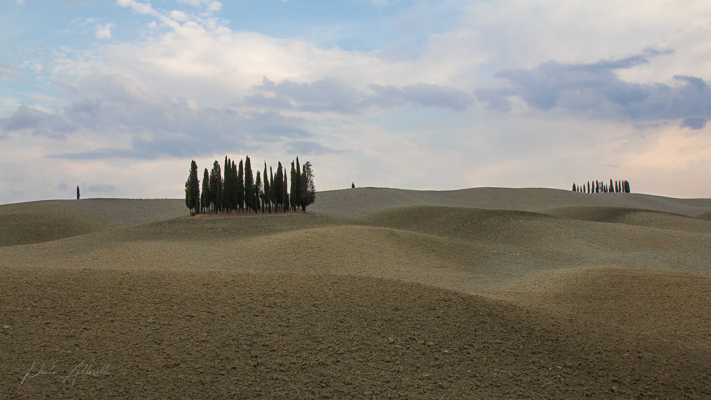 Cipressini