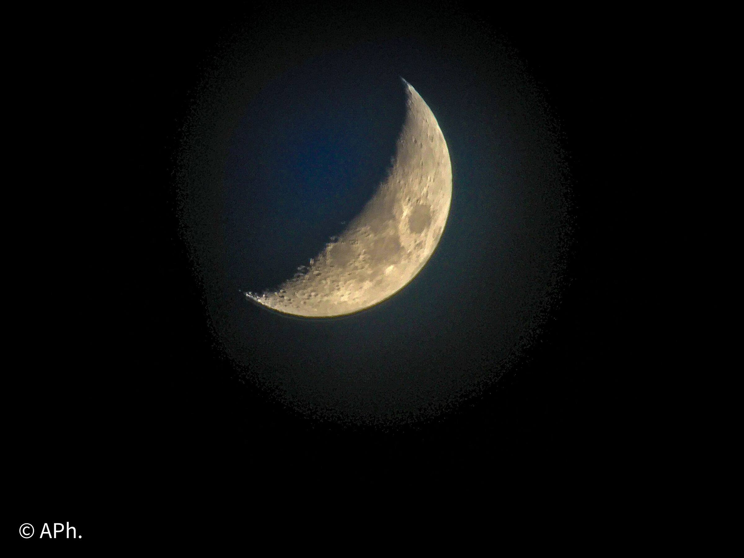 Moon 2022