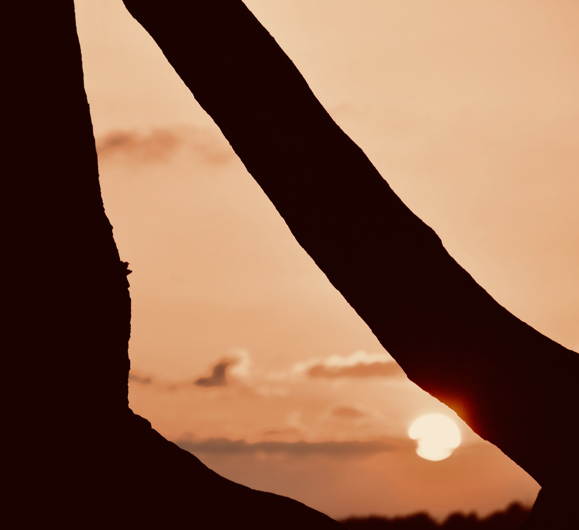 Solar embrace